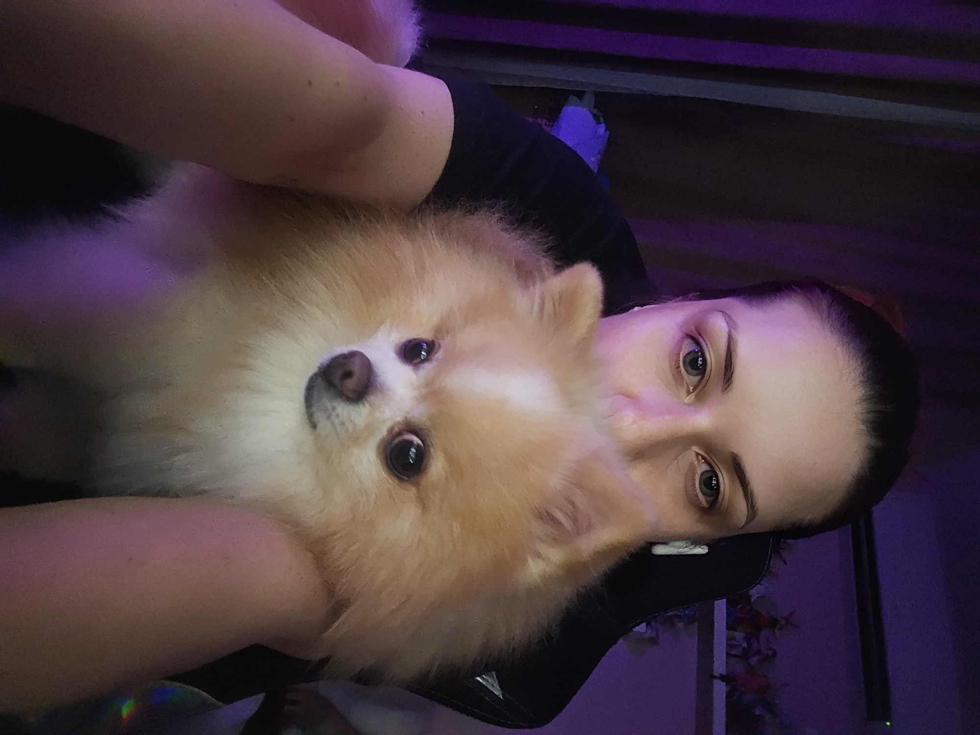 The image shows a close-up selfie of a woman holding a Pomeranian dog. The woman has her hair pulled back and is wearing a black t-shirt. The dog is light brown and white with fluffy fur. They are indoors, with purple lighting in the background and shelves with figurines visible on the right. The specific location within the city of Burgas, Bulgaria, cannot be determined from the image alone.