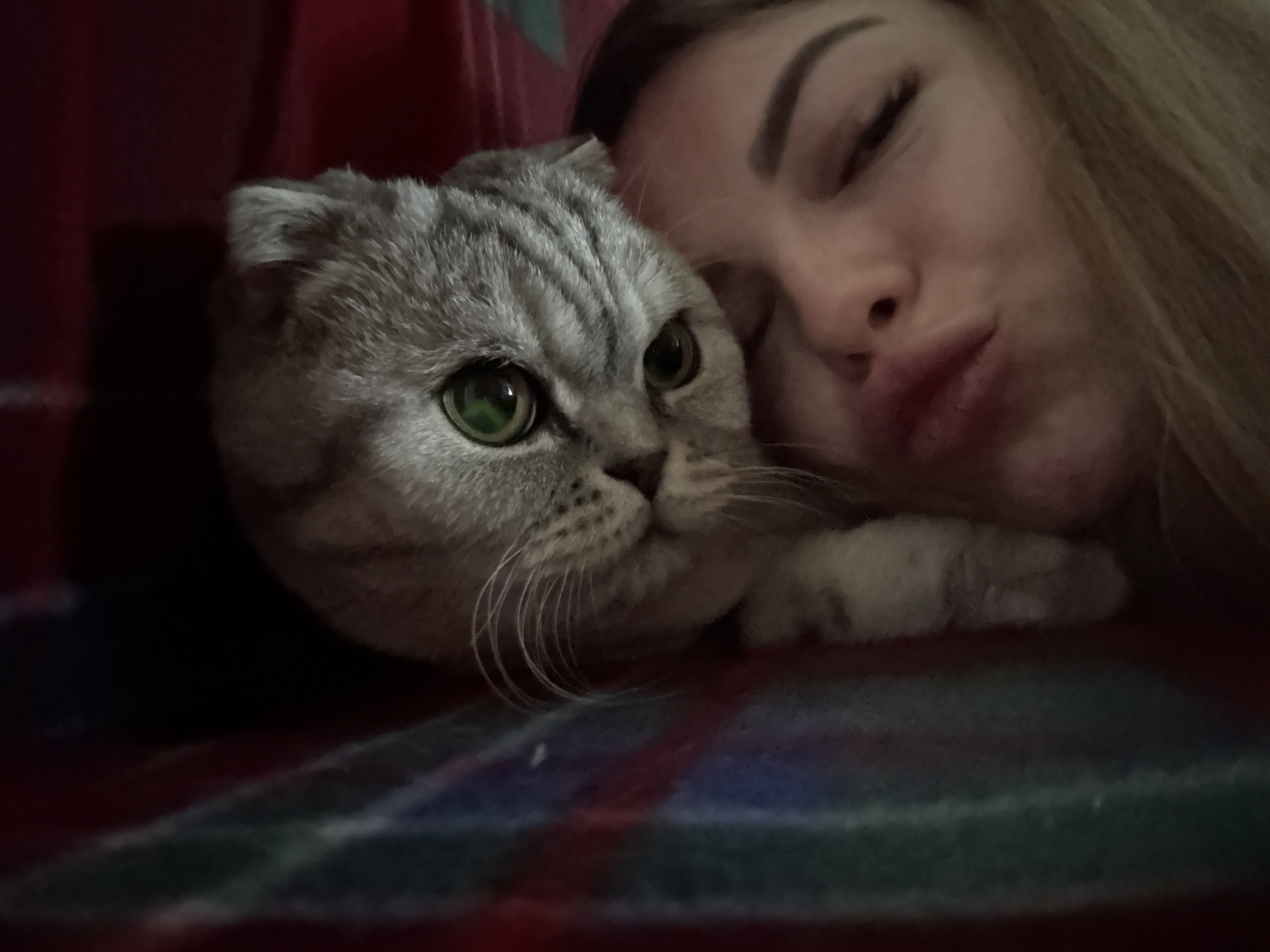 The image shows a woman and a cat lying down together. The cat is a gray tabby with green eyes and folded ears. The woman has blonde hair and is making a kissing face. They appear to be lying on a blanket or bed with a red, green, and blue plaid pattern. The location is unknown.