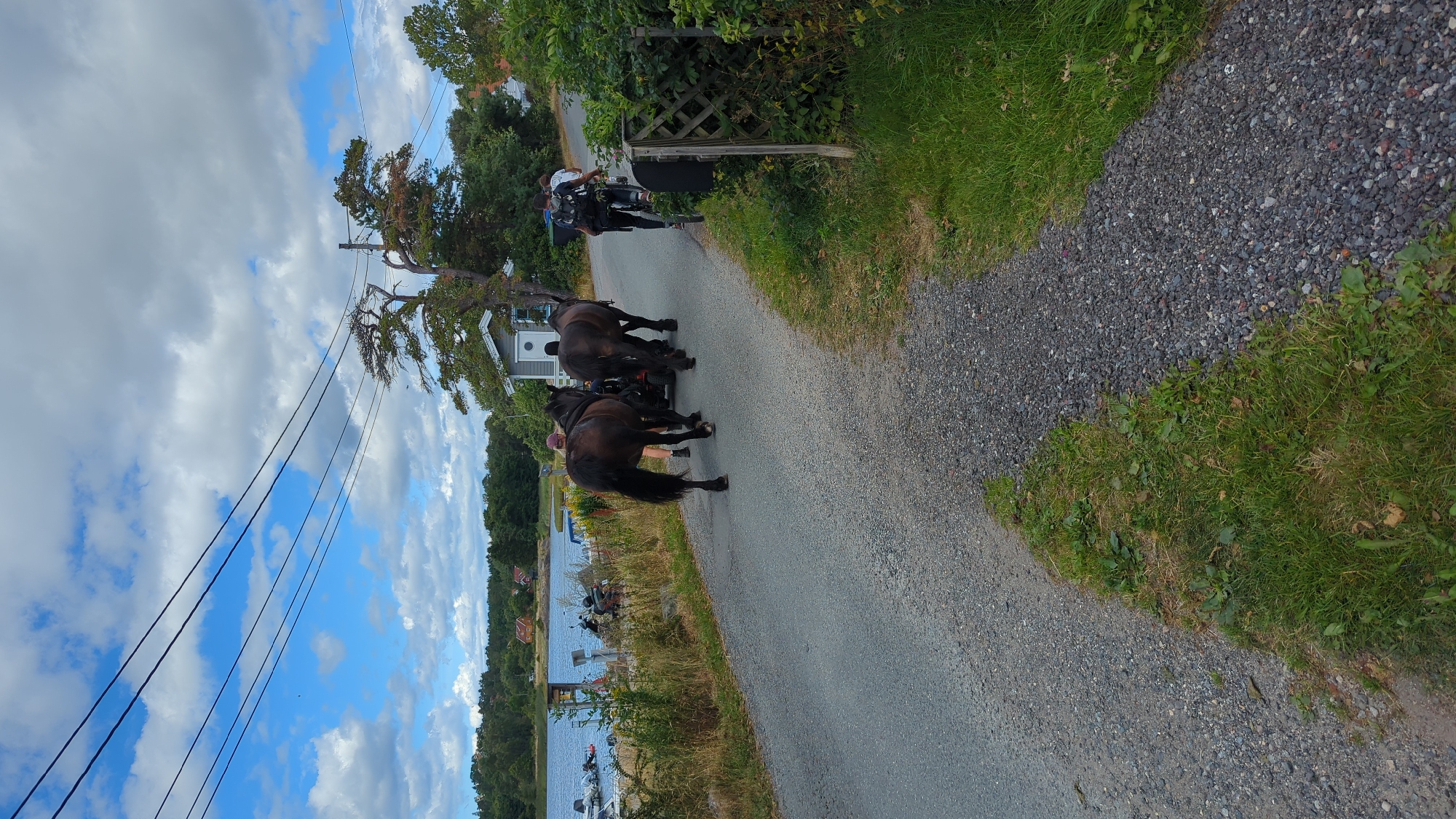 The image depicts a scene in Larkollen, Norway, showing a road with gravel on the sides and asphalt in the middle. Two dark-colored horses are walking down the road, pulling a dark-colored carriage. A person is walking behind the horses, and another person is riding a bicycle further down the road. The environment includes a body of water with boats docked on the left side of the image, trees and houses in the background, and a cloudy sky above. The road appears to be a rural or semi-rural path.