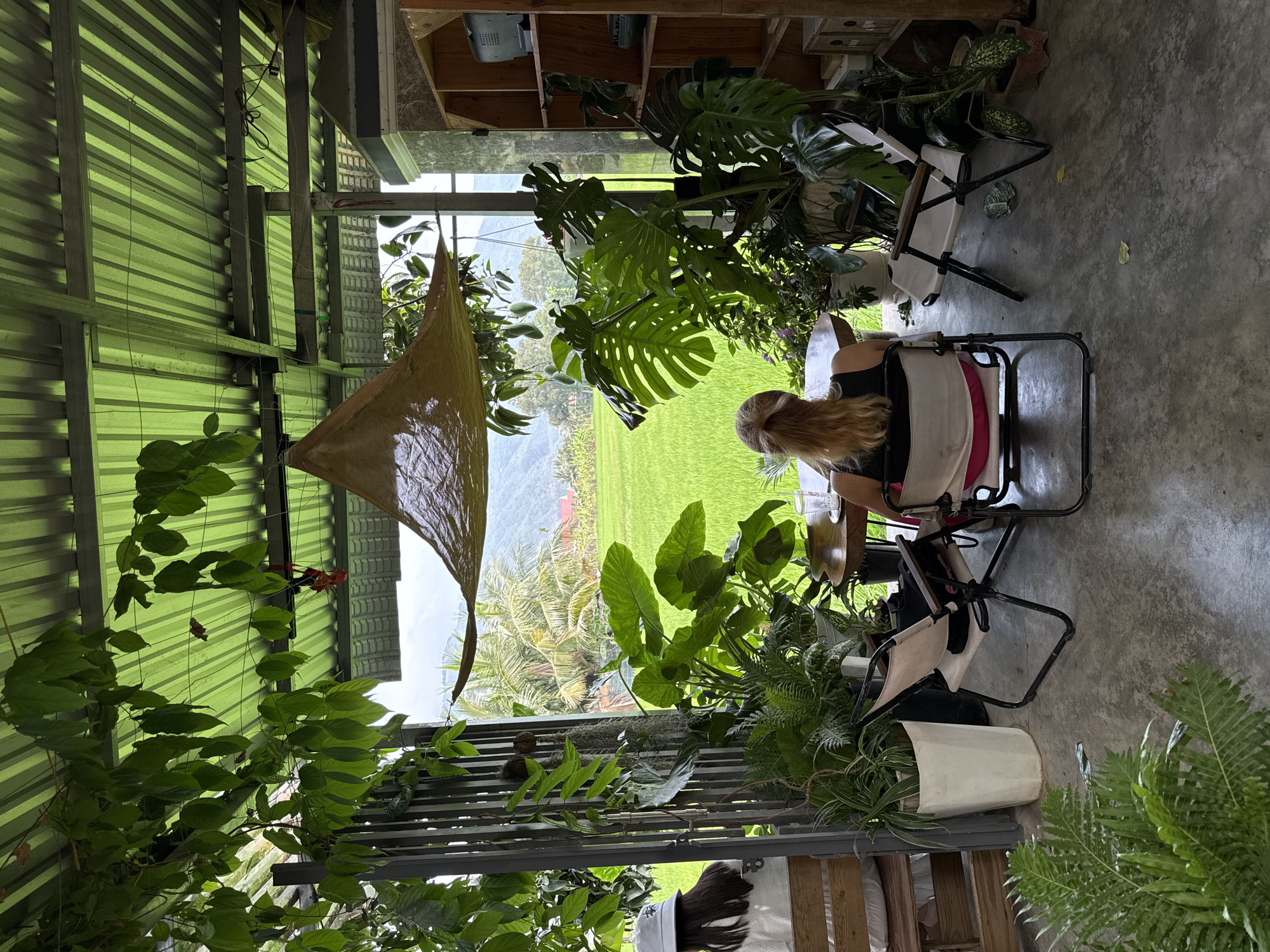 This image depicts a serene, semi-outdoor seating area in Diên Khánh, Vietnam, offering a picturesque view of vibrant green rice paddies and distant mountains. The space is lush with a variety of tropical plants, including large-leafed Monstera, ferns, and climbing vines that adorn the corrugated green metal wall.
In the foreground, a person with blonde hair, wearing a black top and seated in a black-framed folding chair with a light-colored fabric and pink cushion, is seen from behind, facing the panoramic landscape. A glass, possibly containing a drink, rests on a small wooden table beside them. Another person with dark hair, wearing a white cap with some indistinct black text, is partially visible in the bottom right, also seated and facing away from the camera.
The setting combines rustic architectural elements like a corrugated metal roof/wall, wooden beams, and a concrete floor, with abundant natural greenery. A light brown, triangular fabric shade or awning is suspended overhead. In the background, the expansive, bright green rice fields stretch towards a range of misty mountains under a bright sky, dotted with tall palm trees. A small fan or vent is visible on a wooden ceiling section.
The scene conveys a sense of peaceful relaxation, likely during daytime under soft, diffused light, highlighting a tranquil moment spent appreciating nature in a tropical environment.