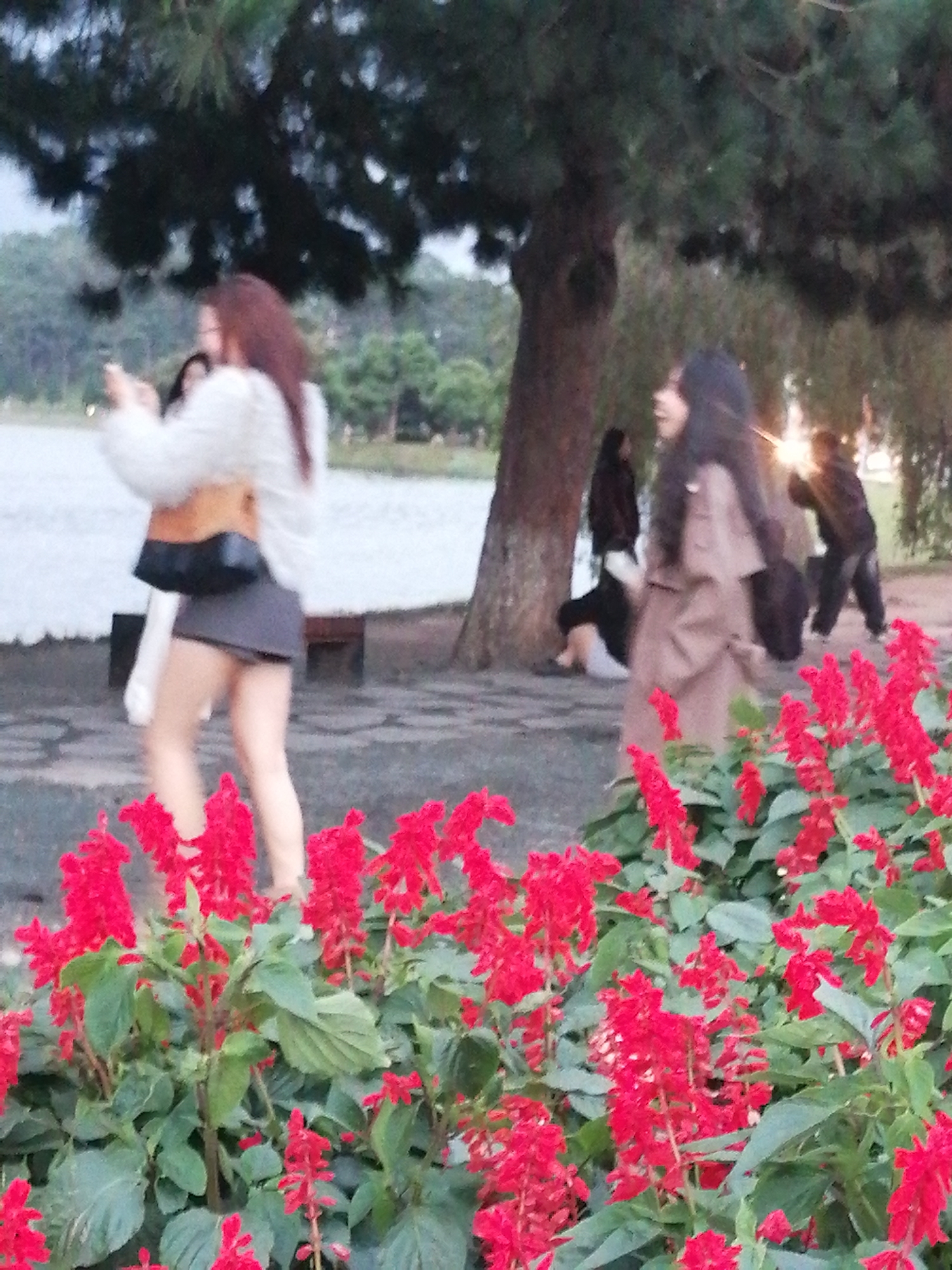 In Da Lat, Vietnam, at approximately dusk, several individuals are present in a park-like setting near a body of water. In the foreground, a patch of vibrant red flowers blooms. Further back, a woman in a white furry jacket and a gray skirt is seen holding a phone, seemingly taking a picture. Another woman in a light brown coat stands to her right, looking away from the camera. In the background, two figures are visible near trees; one appears to be leaning down, and the other is standing with arms raised. The atmosphere suggests a casual, recreational outing.