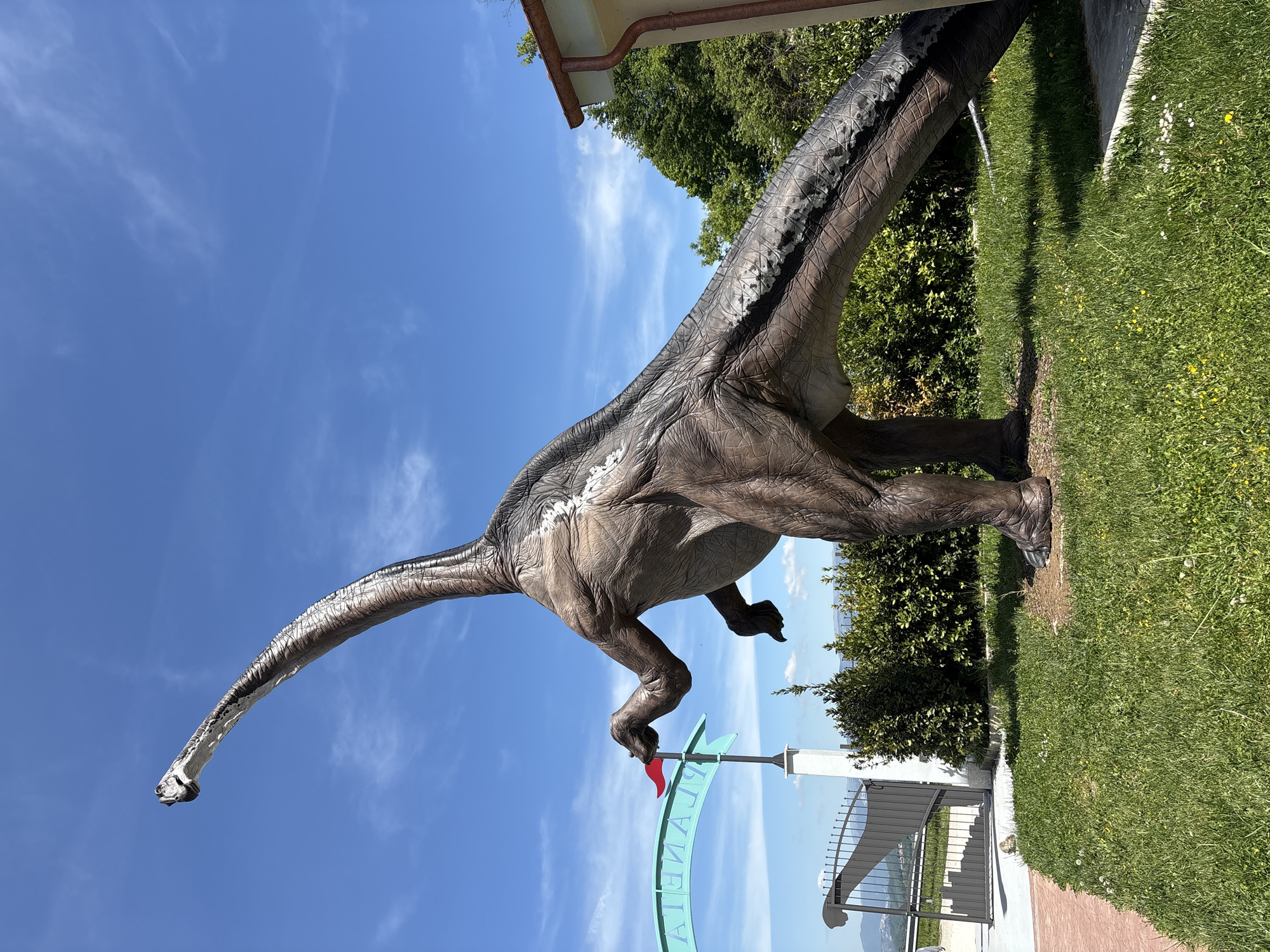 A statue of a sauropod dinosaur stands on a grassy lawn in Rocca di Cave, Italy, on a bright sunny day. The statue is of a long-necked dinosaur, possibly a Brachiosaurus, and is brown and gray in color. The dinosaur's long neck stretches upward toward a blue sky with wispy white clouds. The statue is located near the entrance of "Planetarium". The scene is outdoors, with green trees and bushes in the background.