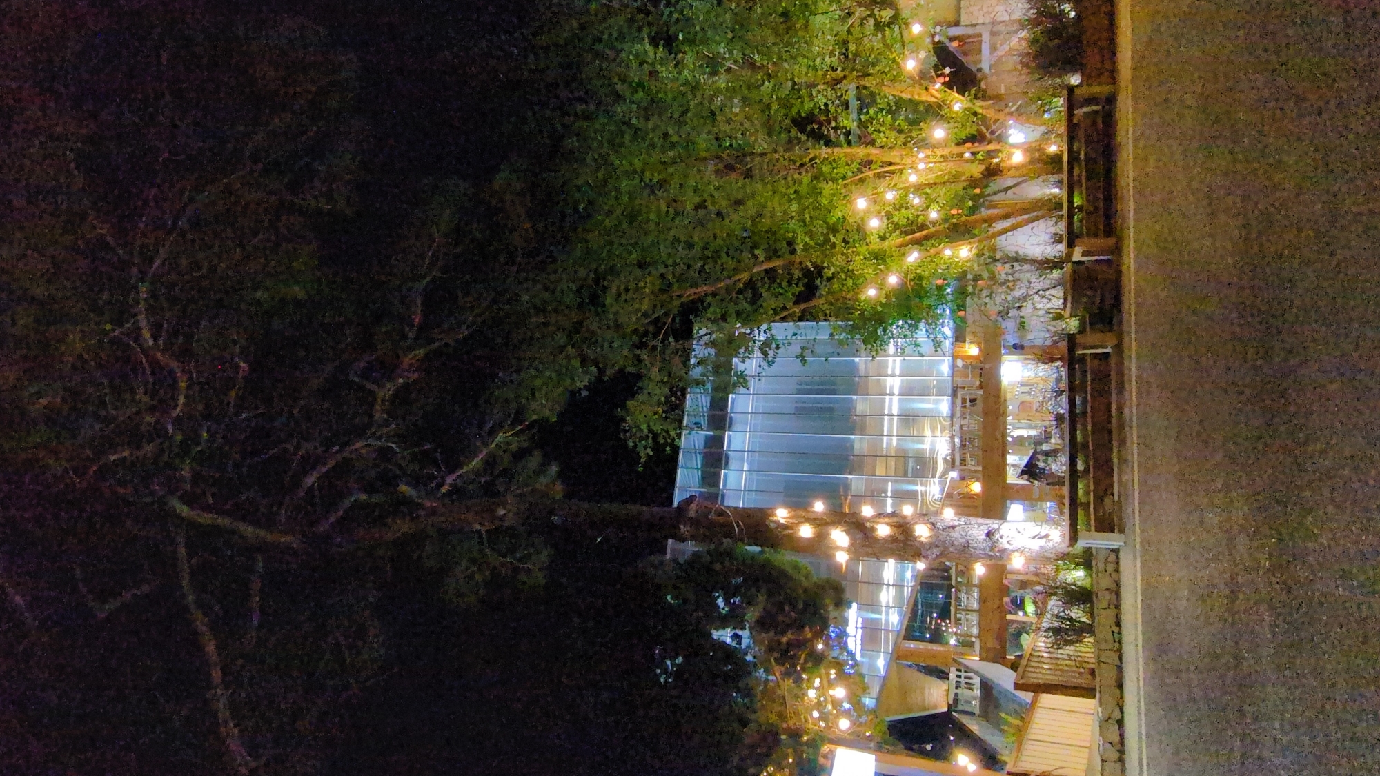 Here's a detailed description of the image:
**Setting:**
The image is taken at night. It shows a modern building with large glass windows or walls. Trees are intertwined with string lights creating a festive atmosphere. The location appears to be a street bordering a building.
**Subjects and Objects:**
* **Building:** It has a contemporary design.
* **Trees:** Trees are decorated with strings of lights.
* **Street:** There is a paved area next to the building.
* **Vegetation:** There is abundant greenery.
**Interactions/Actions:**
The presence of the building, lights, and a visible street suggest that it's a public area. The glass building indicates an area accessible for gathering or eating.
**City identification:**
The city of Da Lat, Vietnam, cannot be identified through the visible elements in the picture.