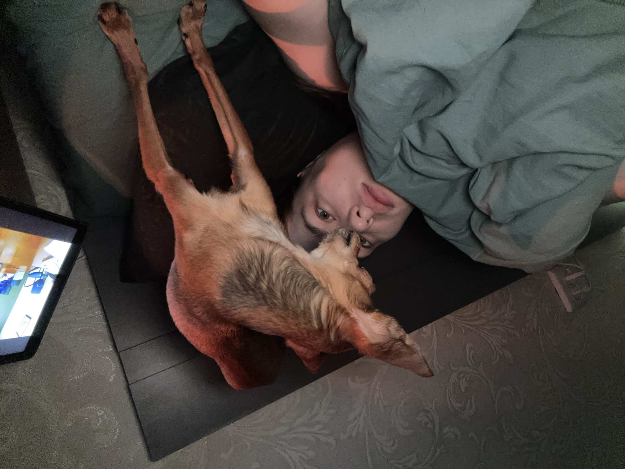 The scene presents a person lying down, viewed from an elevated angle. The person is partially covered by a light green blanket. Adjacent to them is a small, brown dog with long legs, positioned in a way that its body is largely vertical in the frame. A tablet is visible in the lower left corner, displaying a colorful image on its screen. The background suggests an indoor setting, possibly a bedroom, with patterned wallpaper. There is no indication of it being in Chaikovsky, Russia.