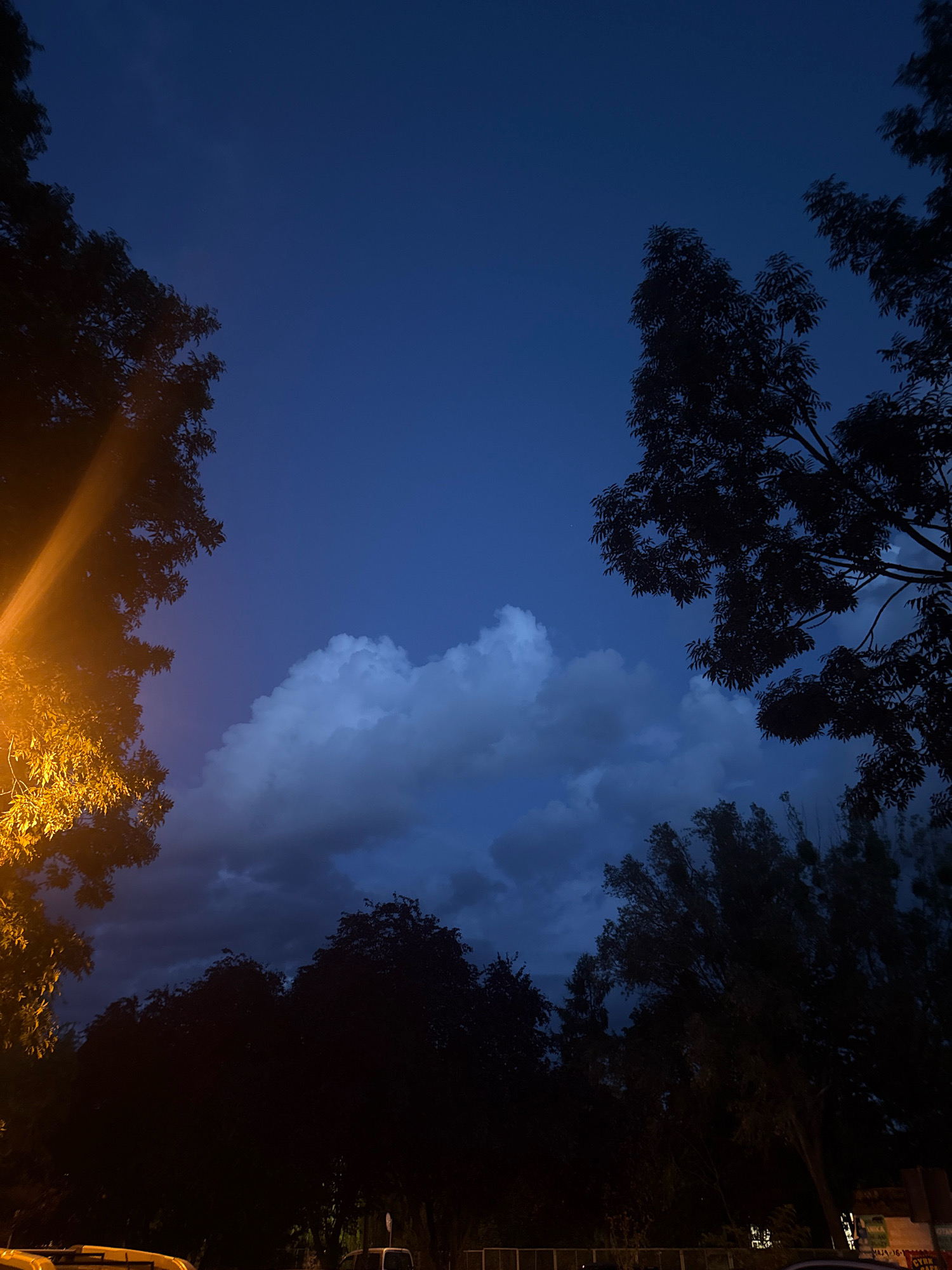 The image depicts a twilight sky over Gorzow, Poland. Silhouetted trees frame the upper edges of the scene, with foliage on the left side illuminated by a warm, yellow street light. A cluster of bright white clouds is visible in the center of the sky, contrasting with the deep blue of the twilight. The lower portion of the image shows the dark silhouettes of more trees and what appear to be the tops of vehicles and a fence, suggesting an urban or suburban setting.