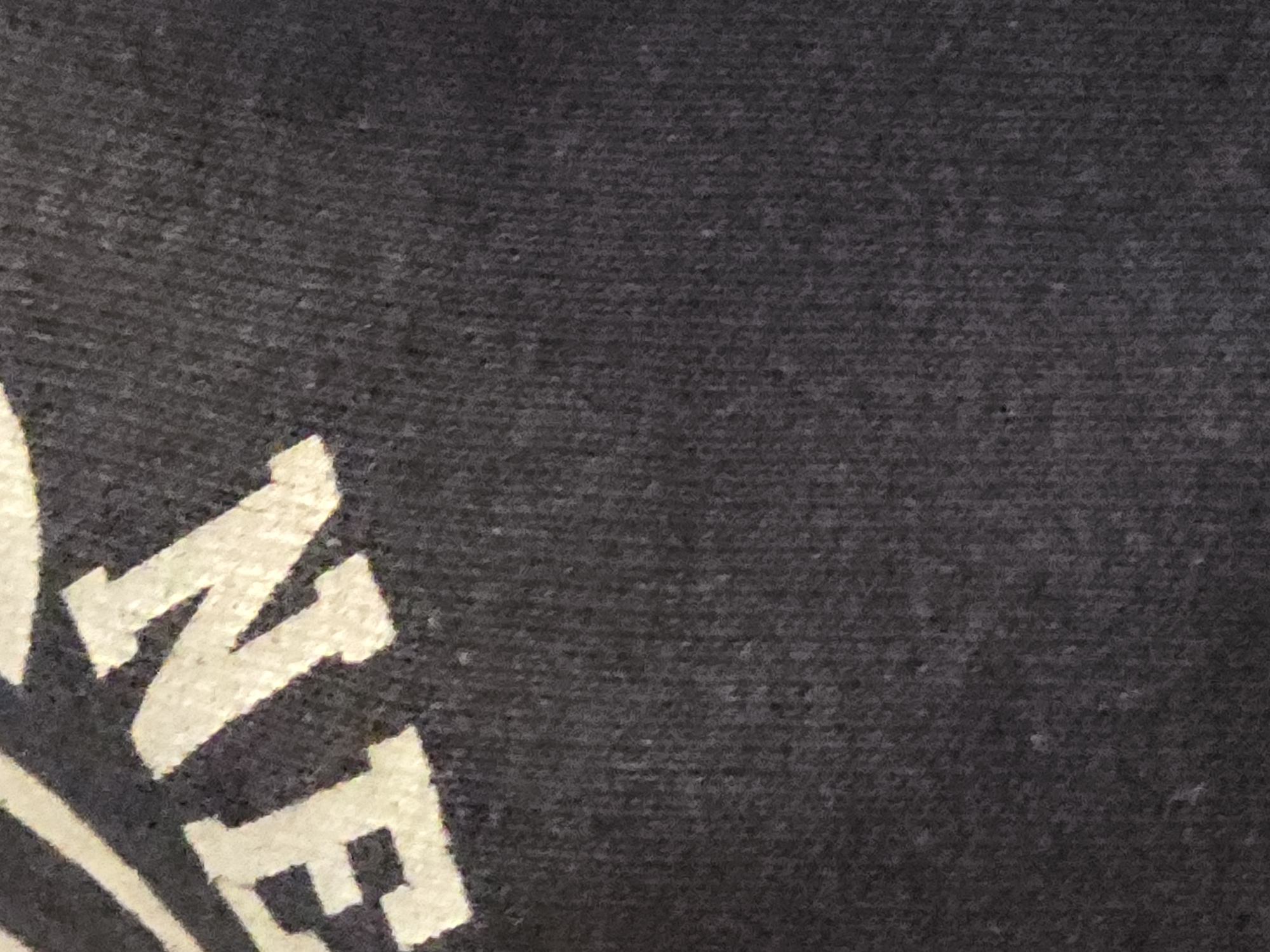 The image shows a close-up of a dark gray textured fabric, likely a t-shirt or similar garment. The fabric has a visible weave pattern. On the upper left side of the image, parts of two large, cream-colored block letters are visible: an "E" and an "N". The letters appear to be printed or applied to the fabric. The rest of the image is filled with the fabric's texture. There are no people, animals, or any environmental details of a city visible in this image.