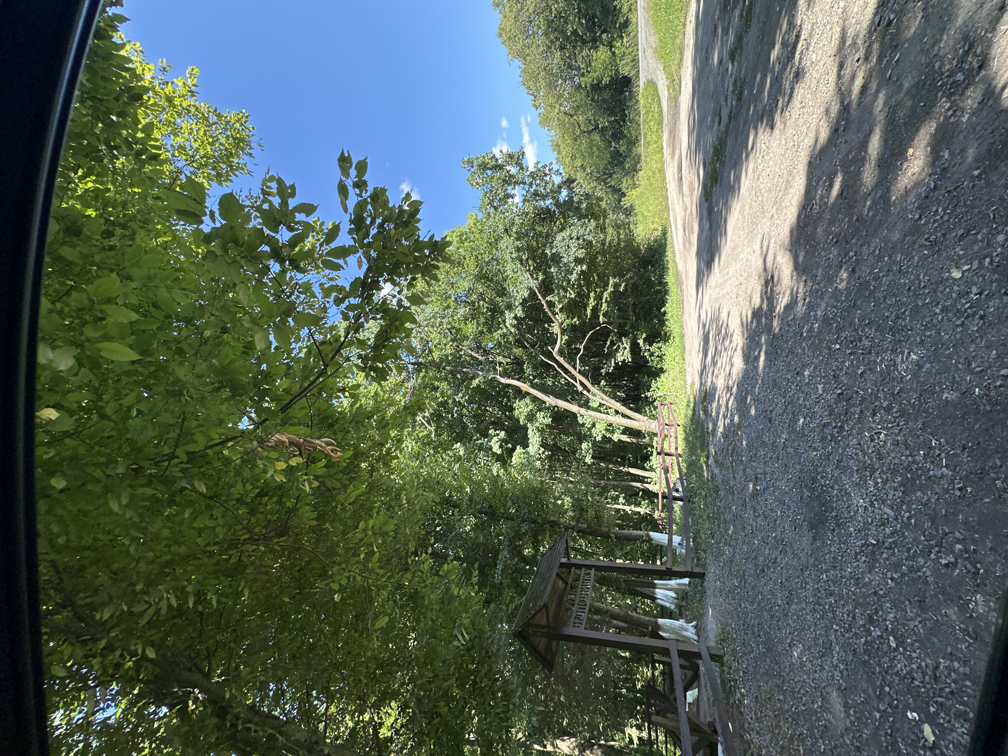In the city of Shatava, Ukraine, a dirt road winds through a lush forest on a clear, sunny day. The road is unpaved and covered with gravel, with shadows from the surrounding trees cast across its surface. On the left side of the road, a wooden information signpost stands under the canopy of trees. The sign has a pitched roof and wooden posts, with some text visible on its surface. Adjacent to the signpost, a wooden picnic table and bench are situated. Beyond the picnic area, a wooden fence runs along the edge of the woods. The trees are tall and dense, with vibrant green foliage that creates a cool, shaded environment. The sky above is a brilliant blue with a few scattered white clouds. The overall scene depicts a serene natural landscape, likely a park or recreational area within the forest.