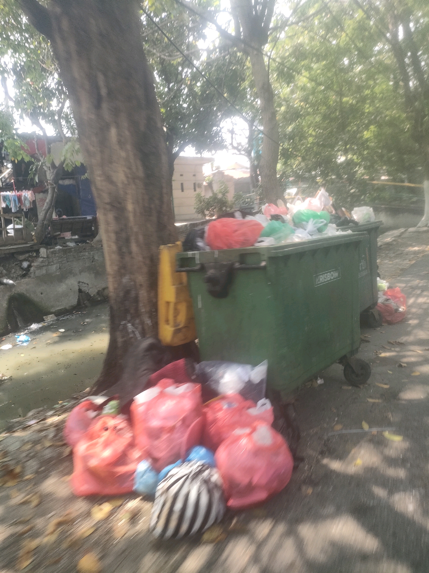 The image depicts a scene of overflowing garbage bins and scattered trash near a canal or drainage ditch in Surabaya, Indonesia. A large, green dumpster with the word "KRISBOW" visible on its side is filled with various bags of trash, some of which have spilled out onto the ground. In front of the dumpster, several more plastic bags, predominantly red, blue, and white, are piled on the ground, along with a striped bag. A large tree trunk stands prominently to the left of the dumpster, with its roots extending towards the trash. The background shows lush green trees, suggesting an outdoor environment, possibly a street or alley. Sunlight filters through the leaves, creating dappled shadows on the ground. A dilapidated building or structure can be seen in the distance behind the tree, and clothes are hanging on a line near it, indicating a residential area. The overall impression is one of poor waste management and an unkempt urban environment.