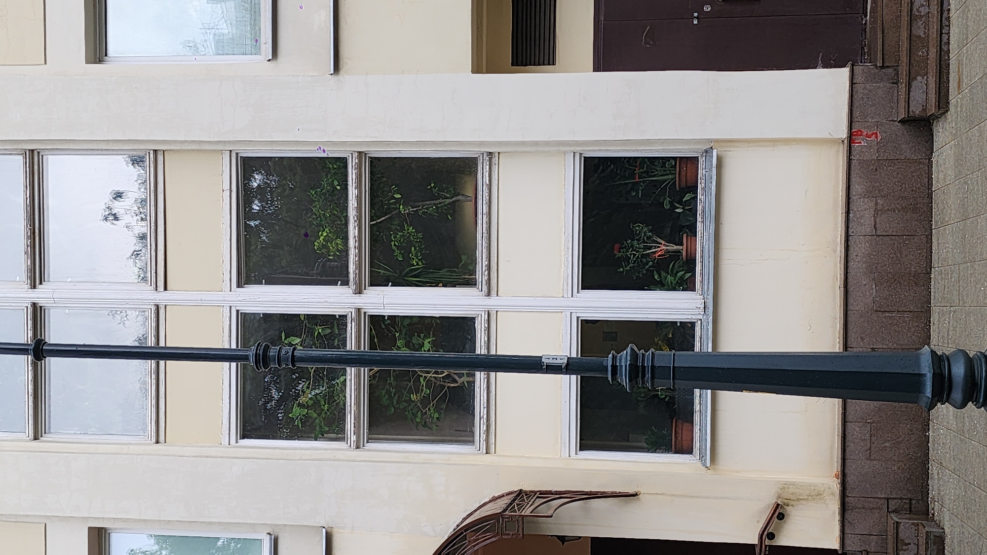 The image shows a portion of a building facade. The building has a pale yellow exterior with a row of windows. Some windows reflect the sky, while others have plants visible behind them. A dark green lamppost is in the foreground. The city is Moscow, Russia.