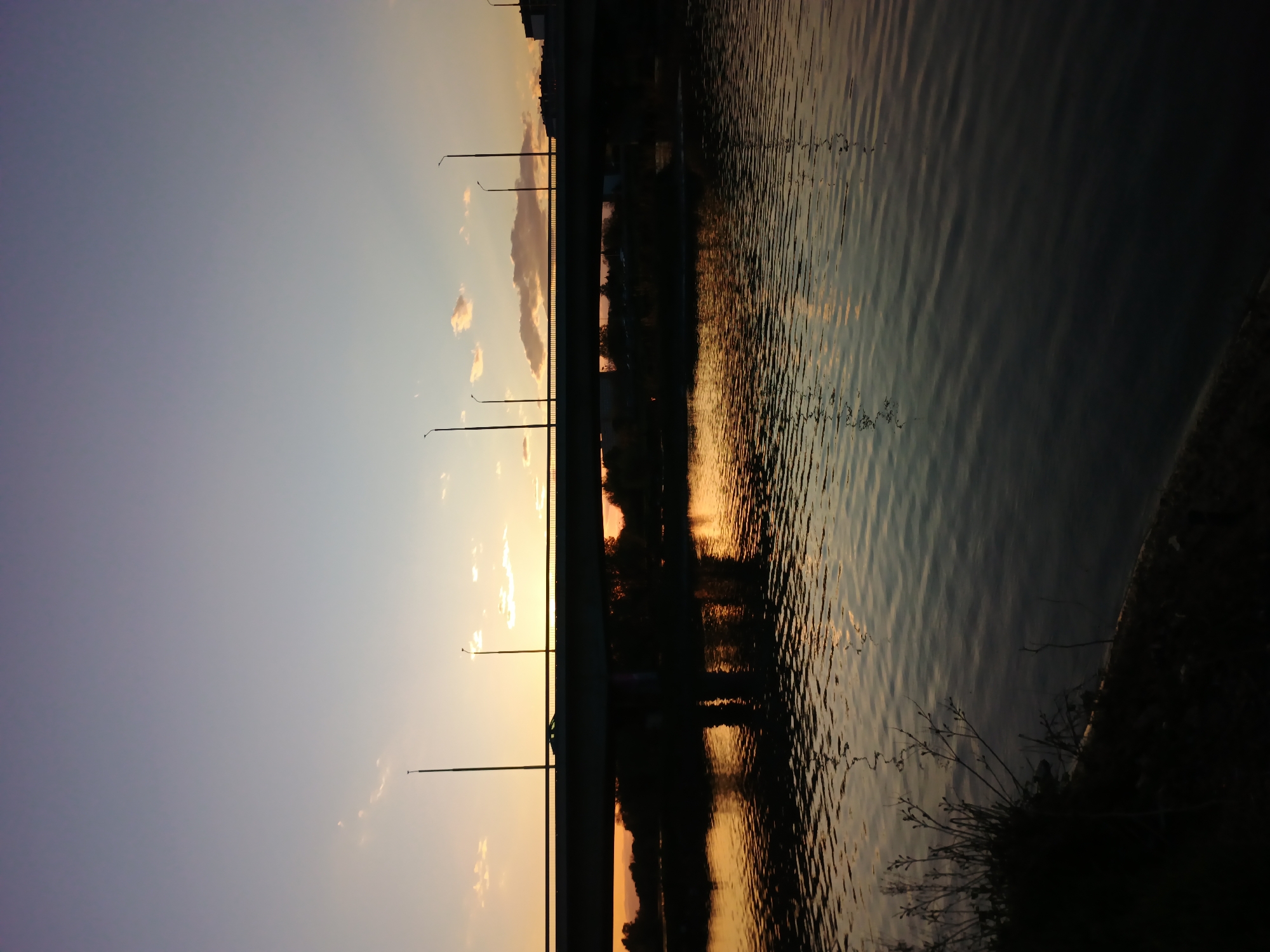 The image captures a serene waterside scene during either sunrise or sunset. The sky displays a beautiful gradient of colors, transitioning from a warm, bright orange and yellow on the horizon, where the sun is low, to a soft purple-blue higher up. A few scattered, wispy clouds are illuminated by the warm light.
A prominent bridge spans across the middle ground, its structure silhouetted in dark tones against the bright horizon. Several tall, slender streetlights or lamp posts are visible along the top of the bridge, also appearing as dark silhouettes. Reflections of the sky's warm colors and the dark silhouettes of the bridge and surrounding structures are visible on the rippled surface of the water below.
The water, likely a river or canal, shows gentle waves that catch and distort the reflected light, creating dynamic patterns of light and shadow. On the right side, a dark, indistinct shoreline with sparse vegetation, possibly reeds or small bushes, is visible in the foreground, further accentuating the dark silhouettes against the glowing water. In the far distance, beyond the bridge, faint, dark shapes of buildings or trees can be discerned against the lighter sky.
The overall mood of the image is peaceful and contemplative, highlighting the natural beauty of the golden hour. There is no visible text in the image.