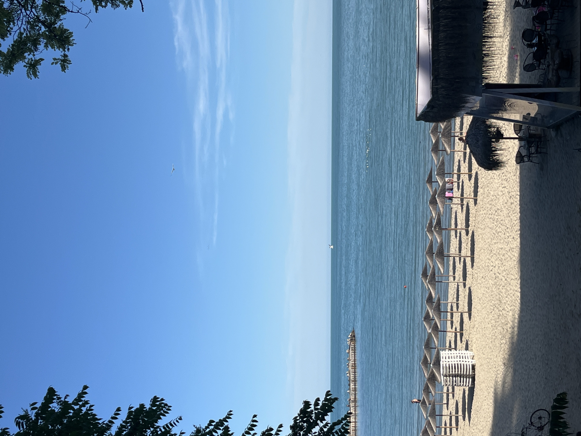 A beach in Varna, Bulgaria is pictured on a clear, sunny day. The foreground shows a section of a sandy beach with several rows of empty thatched umbrellas and a stack of white beach chairs. To the right, a small open-air bar with a thatched roof is visible, furnished with tables and chairs. Further back, the sea stretches to the horizon under a bright blue sky with a few wispy clouds. On the sea, there are a few small boats and a flock of birds. In the distance, a pier juts out into the water, lined with numerous birds. The scene is framed by the green leaves of trees on the left and right sides of the image.