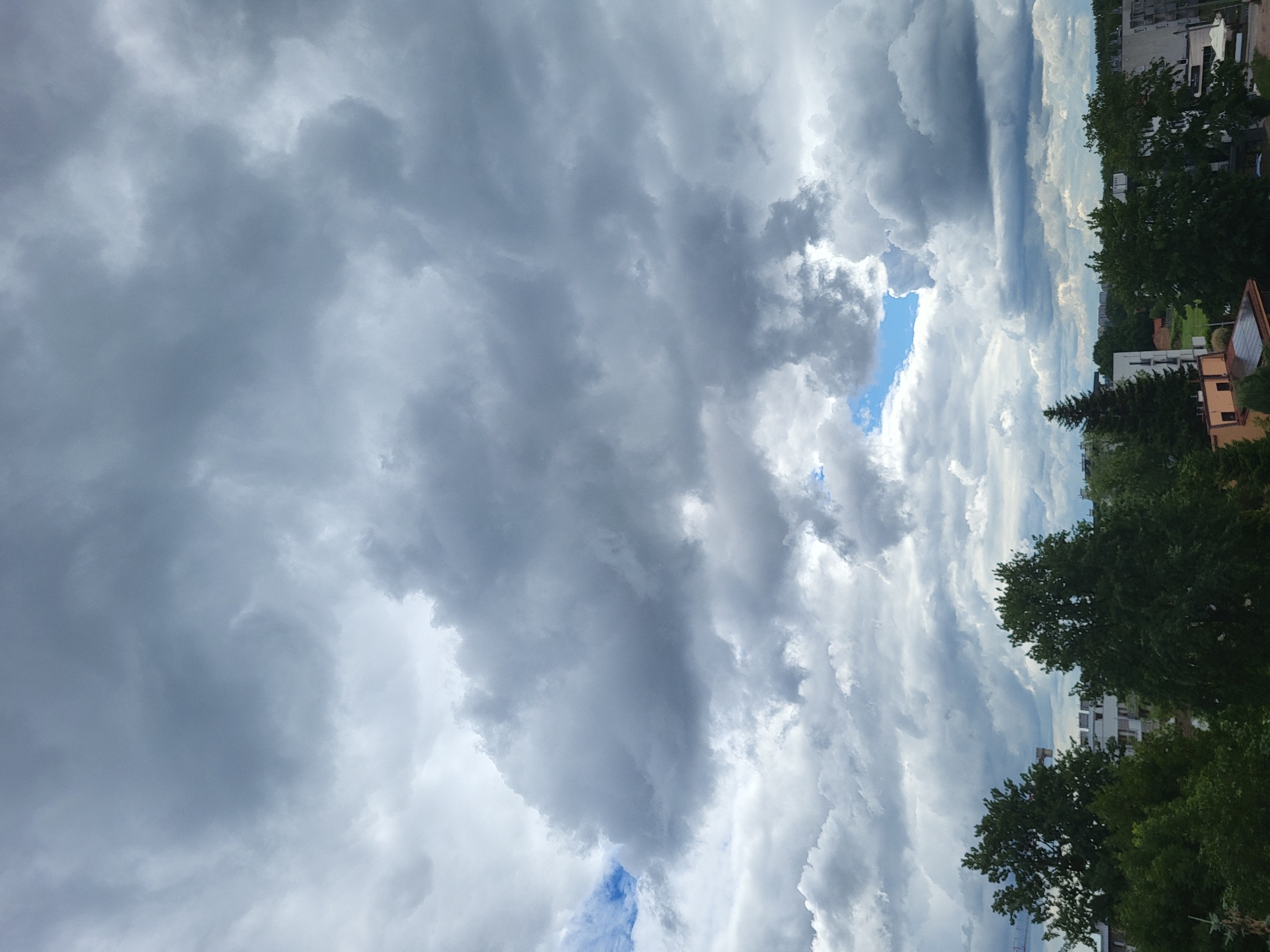 A high-angle, vertical medium shot captures a dramatic sky filled with thick, grey, and white cumulus clouds. The clouds are dense and textured, with areas of bright white suggesting sunlight filtering through, and darker grey areas indicating potential rain. A small patch of bright blue sky is visible through a gap in the clouds. Below the sky, the tops of several large green trees are visible, some with dark, dense foliage and others with lighter, feathery needles. Beyond the trees, modern apartment buildings with light-colored facades and flat roofs can be seen. In the far distance, a faint line of trees and buildings indicates a cityscape. The overall impression is of an overcast day with a dynamic and imposing sky.