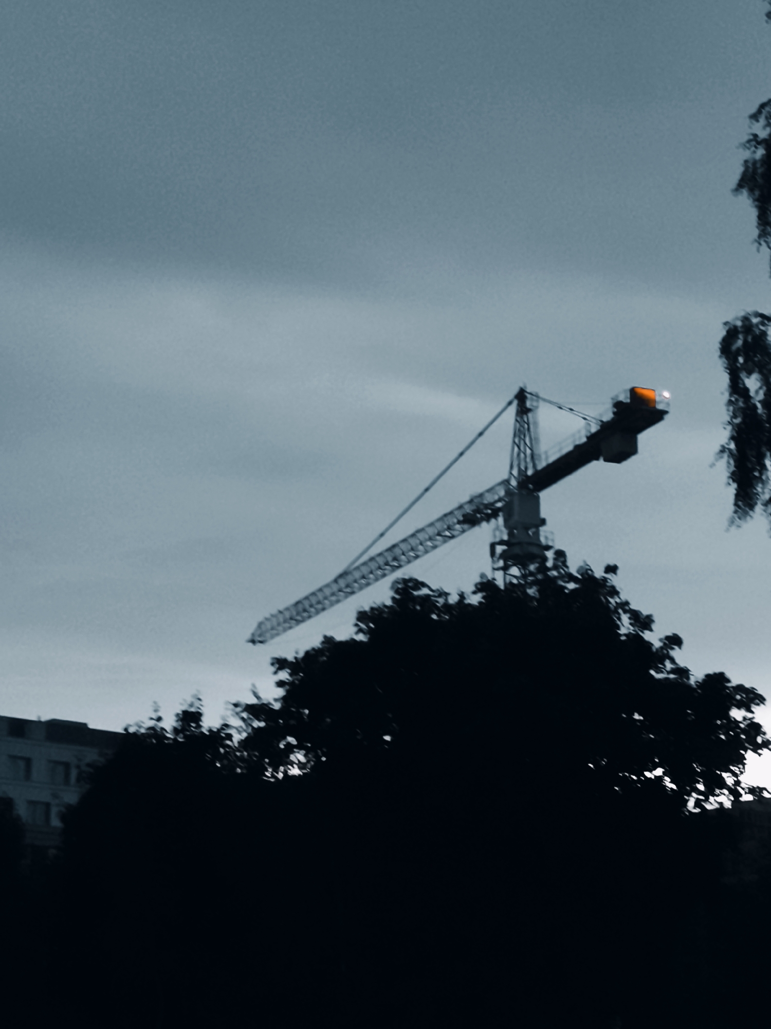 A construction crane with an illuminated orange warning light is silhouetted against a grey, overcast sky. The crane is positioned behind a dark, dense line of trees that spans the foreground. To the left, partially visible through the trees, is a building with several floors and windows. The image appears to be taken from a low vantage point, looking up at the crane and the sky. There are no people or immediate actions depicted in the scene. The overall mood is somber and industrial, suggesting a city environment at dusk or on a cloudy day. The location is Gdańsk, Poland.
