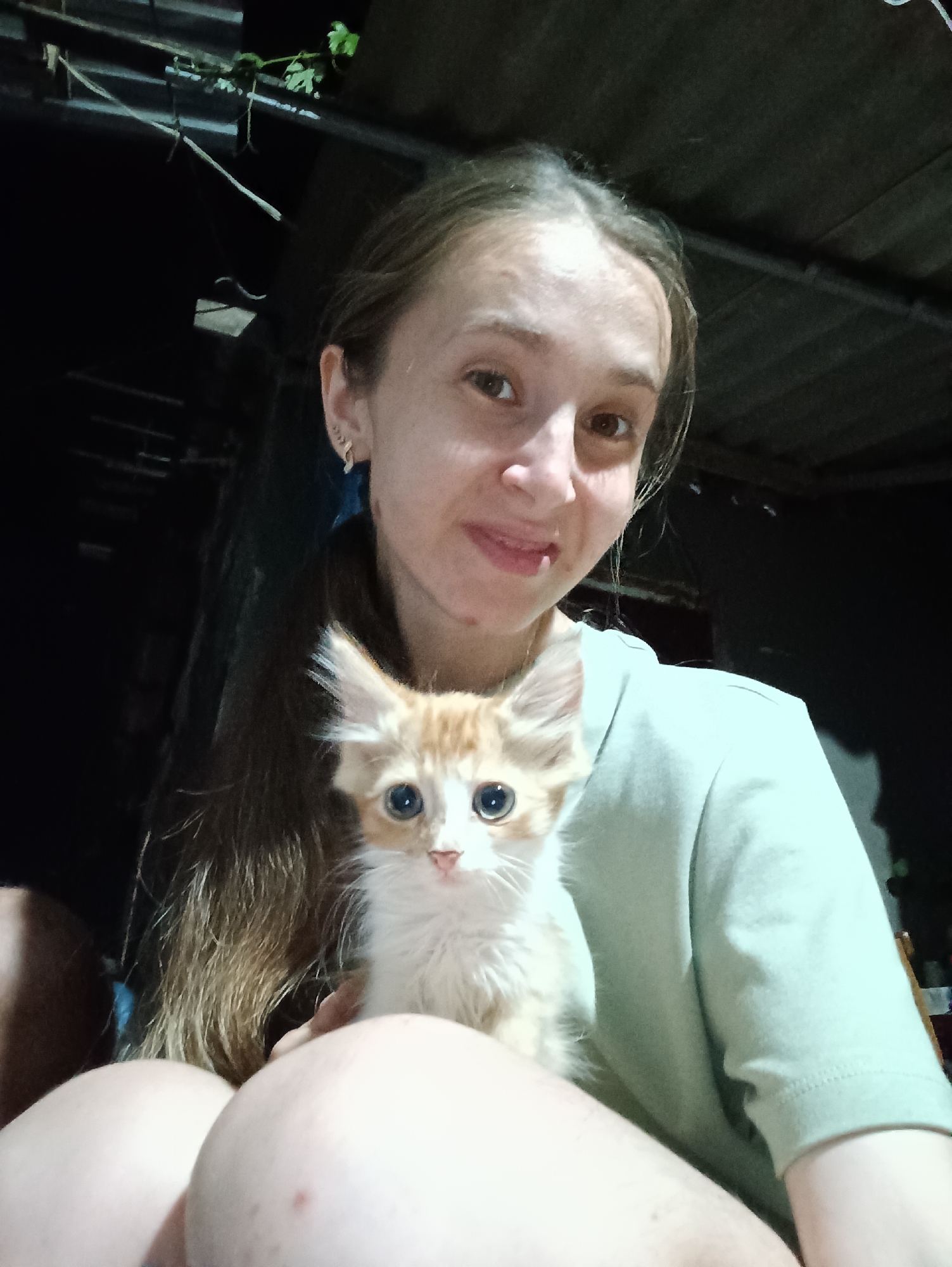 In the city of Vypasne, Ukraine, a young woman with long brown hair pulled back is holding a small, fluffy, ginger and white kitten. The woman is wearing a light green t-shirt and has a silver earring in her left ear. The kitten has large blue eyes and is looking directly at the camera. They are positioned in what appears to be an outdoor or semi-outdoor setting at night, with dark, shadowy surroundings suggesting a rustic environment. A portion of the woman's legs are visible in the foreground, and the background is filled with darkness, hinting at a dimly lit area.
