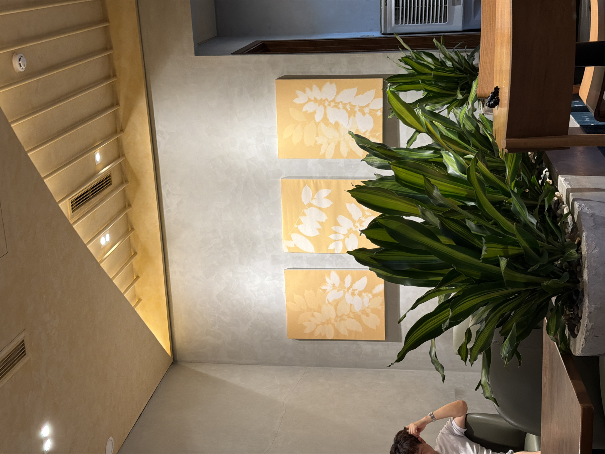 A person is relaxing on a couch, with their hand behind their head. The scene is indoors, possibly a cafe or a lounge area, with modern decor. Three framed artworks with leaf imprints on a yellow background are hung on a textured gray wall. A large potted plant with lush green leaves is placed beside the wall, obscuring part of the view. The lighting suggests it could be daytime or evening, with warm light illuminating the scene. The overall ambiance appears calm and relaxed. The person is wearing a white t-shirt and a watch on their left wrist. There is no visible text in the image.