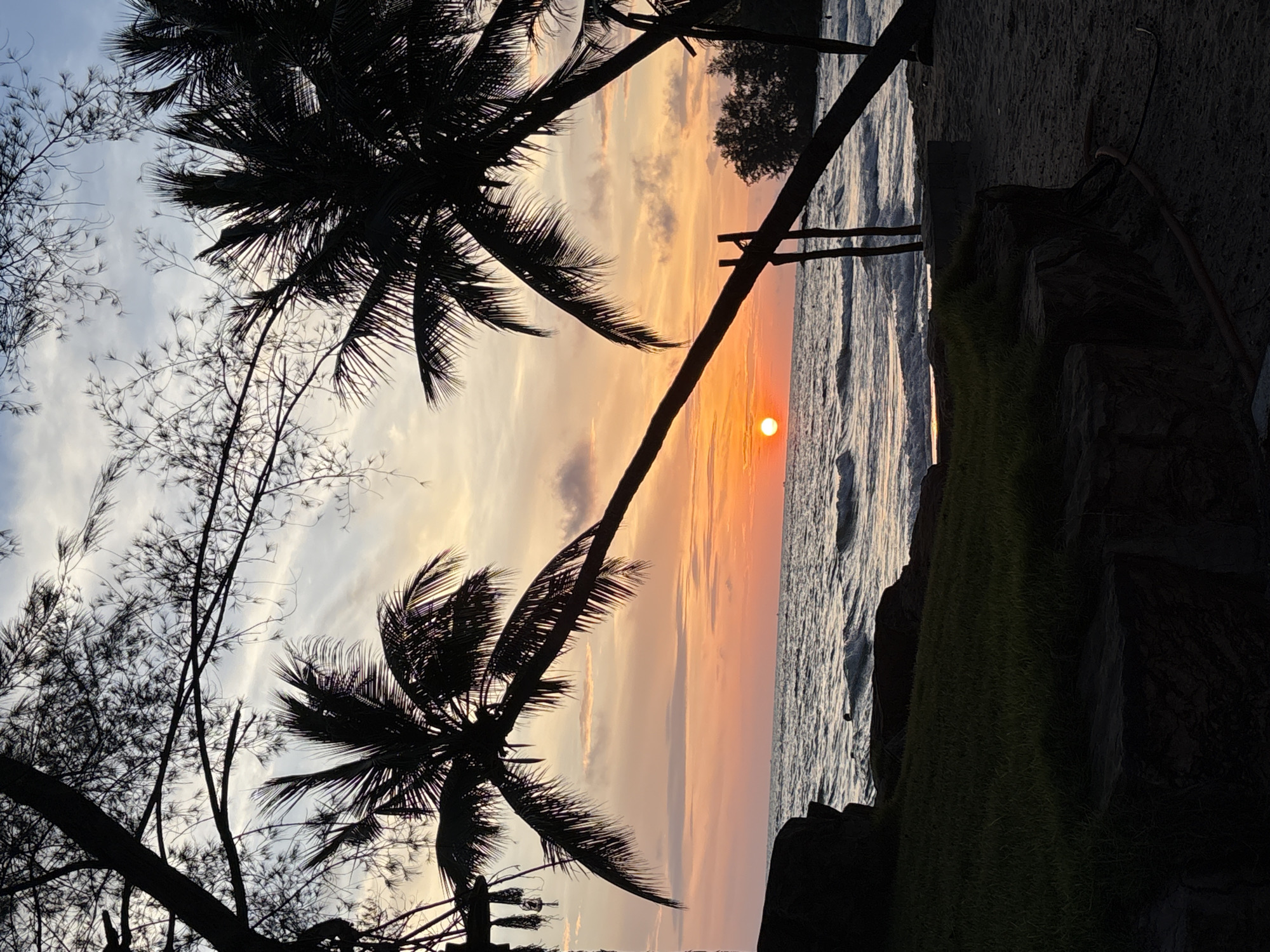 The image depicts a serene sunset scene at a beach in an unspecified location. The sun, a vibrant orange orb, is setting on the horizon, casting a warm glow across the sky and the ocean's surface. The water is moderately wavy, with white foam cresting the waves. Silhouetted against the colorful sky are palm trees, their fronds swaying gently. In the foreground, a grassy embankment slopes down towards the sandy beach, with some dark rocks interspersed. The beach itself is sandy, with a few visible objects like wooden posts and what appears to be a coiled hose. The overall atmosphere is tranquil and picturesque, evoking a sense of peace and natural beauty.