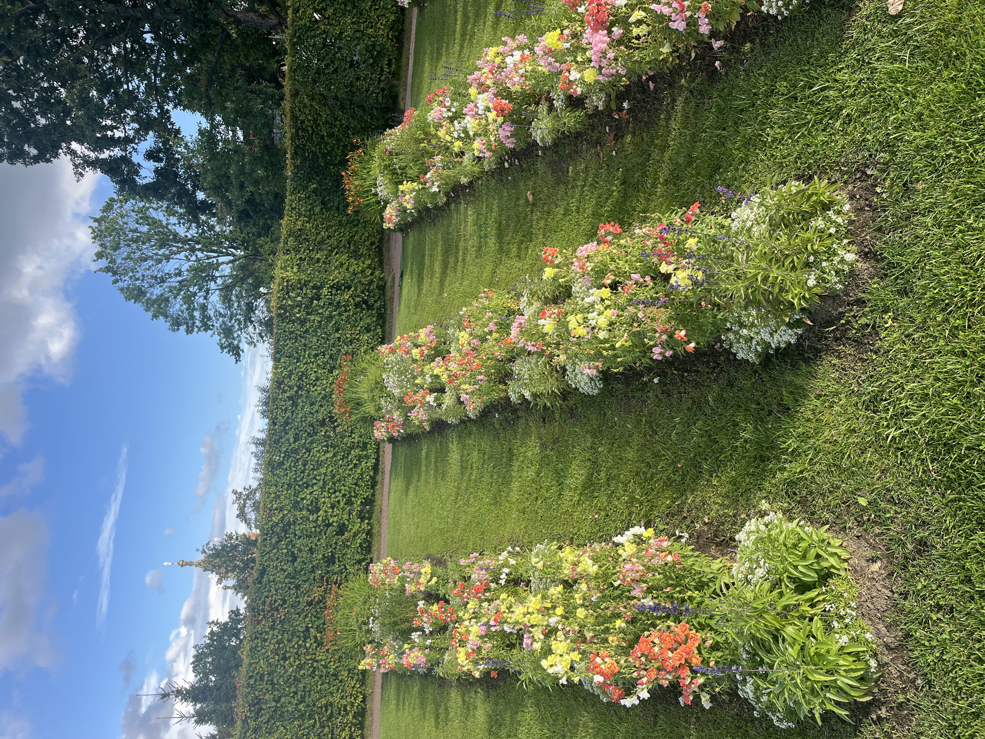 This is a photograph of the Flower Garden in the Lower Park of Peterhof Palace, Russia. The image shows three parallel flowerbeds filled with a variety of colorful flowers, including snapdragons, salvia, and alyssum. The flowerbeds are planted in rows, with a grassy lawn between them. In the background, a neatly trimmed hedge runs the length of the garden, and beyond that, trees and a distant church spire are visible against a blue sky with scattered clouds. The lighting suggests it is late afternoon. There are no people visible in the image.