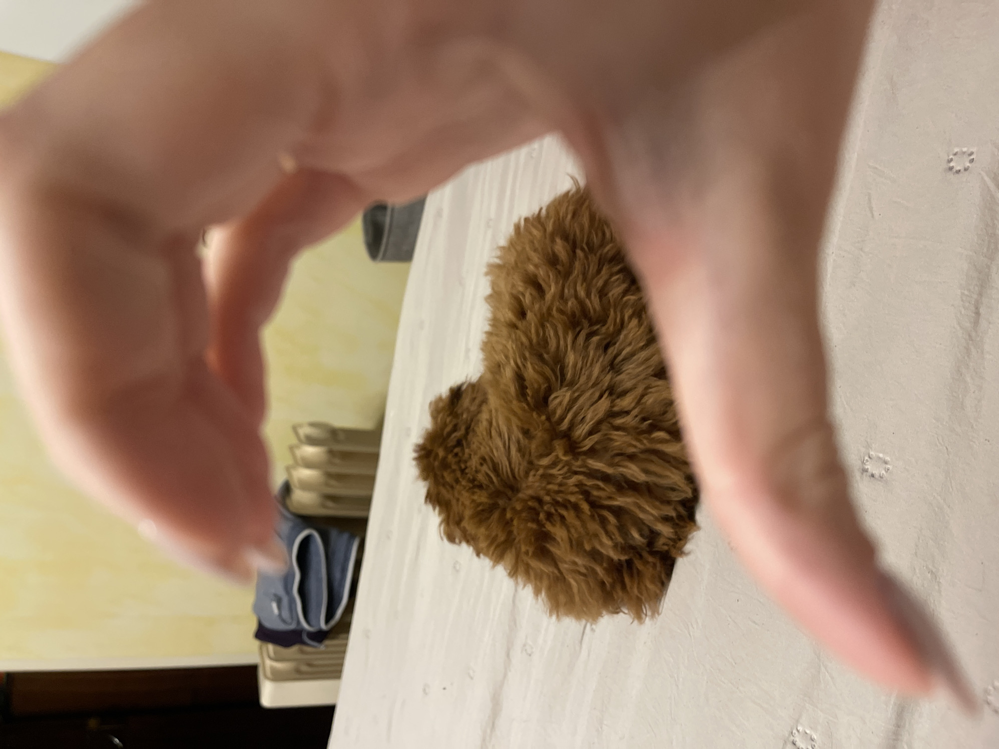 A close-up, skewed perspective image shows a brown, fur-like object on a white, textured surface. A blurred hand is positioned above the object, seemingly about to touch it. In the background, slightly out of focus, there's a shelf with stacked objects, including clothing. A yellow wall is visible in the background. The location in Sofia, Bulgaria cannot be determined from the provided image.
