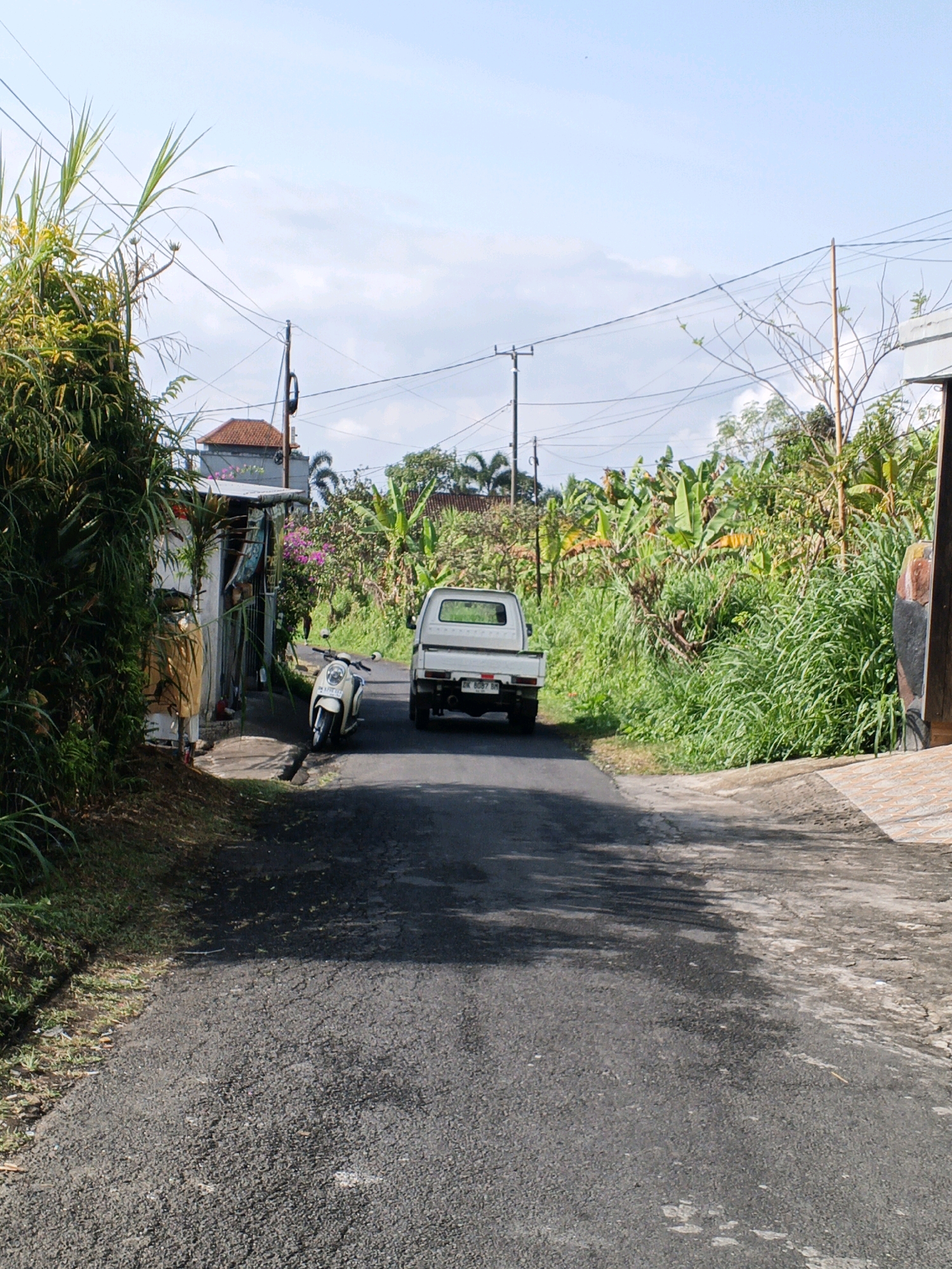 A white pickup truck is parked on the right side of a narrow, paved road in Penebel, Indonesia. A white scooter is parked to the left of the truck. The road is lined with dense vegetation, including banana trees and tall grasses. A small, open-fronted building with a corrugated metal roof is situated on the left side of the road, partially obscured by the vegetation. In the background, a tiled roof of a house is visible. The sky is clear with a few scattered clouds. Electrical wires are strung across the scene.