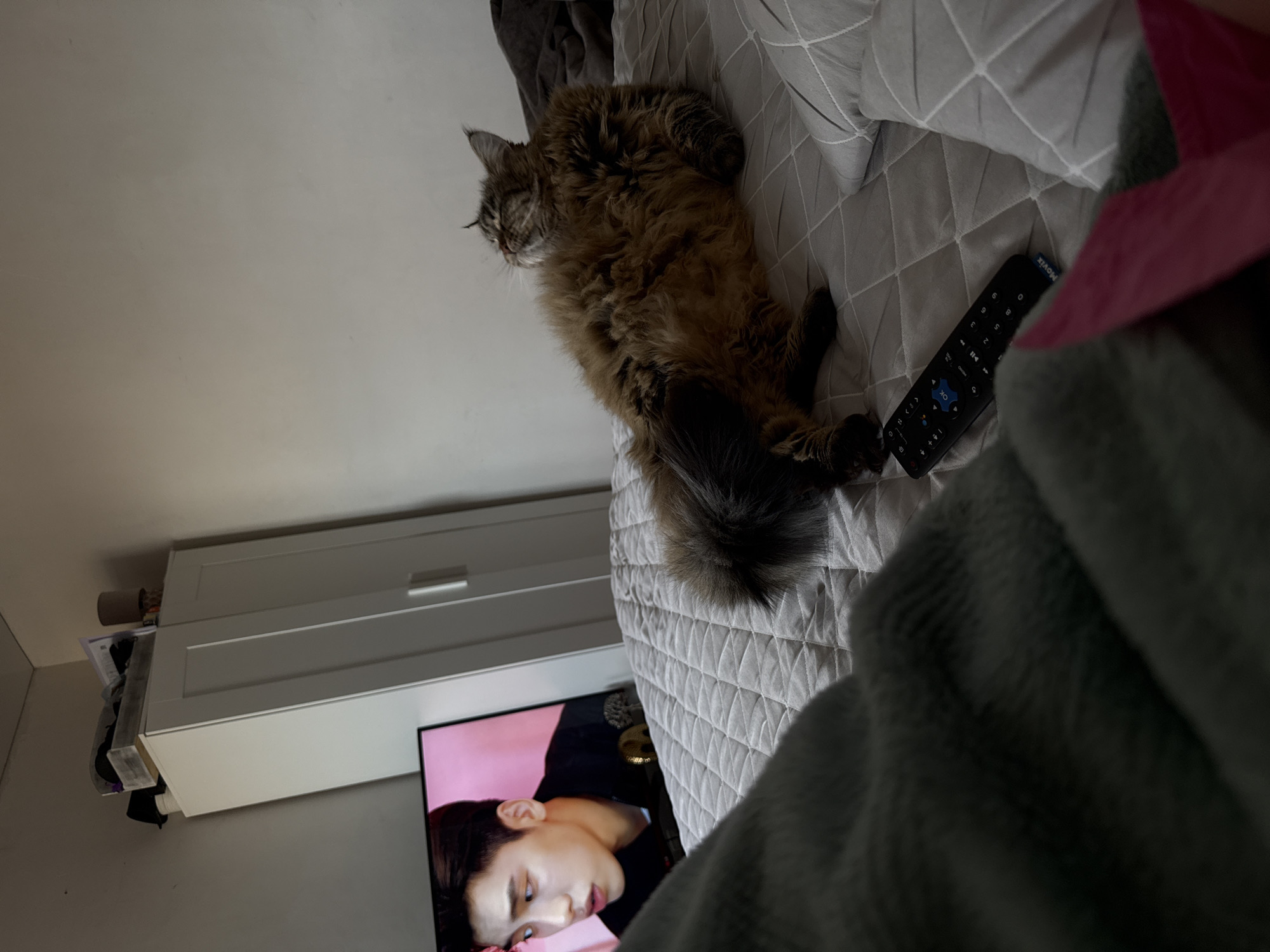 A medium-shot, low-angle indoor photograph depicts a Maine Coon cat lying on a gray quilted bed, with a black television remote positioned nearby. The television screen displays an image of a man with dark hair and pale skin, seemingly an actor in a scene. A white cabinet is visible in the background. The location appears to be a private residence and there is no indication of Izhevsk, Russia.
