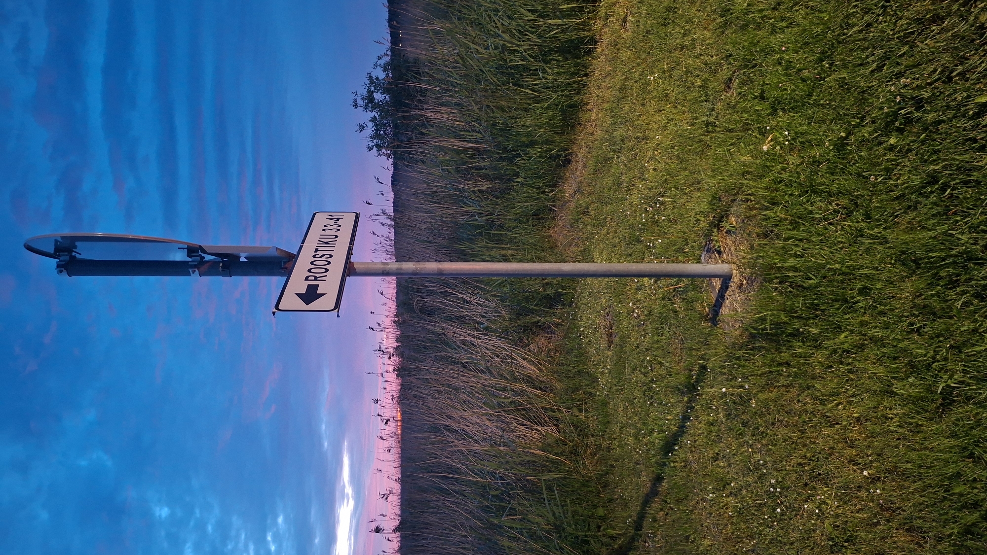 The image shows a street sign that reads "ROOSTIKU 33-41" with an arrow pointing to the left. The sign is attached to a metal pole, which is planted in a grassy area. In the background, there is a field of tall grass and reeds, with a line of trees in the distance. The sky above is a vibrant blue with streaks of pink and orange from the setting sun. The scene appears to be on the outskirts of Tallinn, Estonia, near the coast, possibly in the vicinity of Pirita or Viimsi where such landscapes are common. There are no people or animals visible in the image. The lighting suggests it is either dusk or dawn.