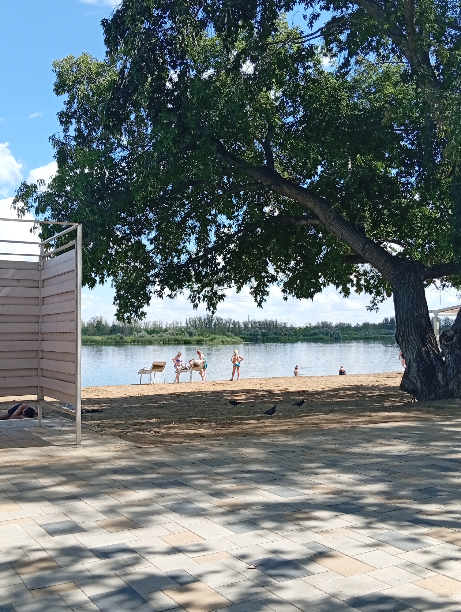 The image depicts a sunny day at a beach, likely within the Мичурин ауылдық округі, Kazakhstan. A large tree with dense green foliage dominates the right side of the frame, casting shadows on the sandy beach and paved walkway in the foreground. Several people are visible on the beach. To the left, a person is lying down in the shade of a changing booth. Further down the beach, a group of three people are gathered near some empty chairs. There are also a few individuals scattered further along the shoreline, some appearing to be children. Several pigeons are foraging on the sand. The background shows a calm body of water, with a treeline visible across the water. The sky is blue with scattered clouds. The walkway in the foreground is paved with rectangular interlocking bricks in various shades of grey, beige, and off-white, arranged in a patterned layout.