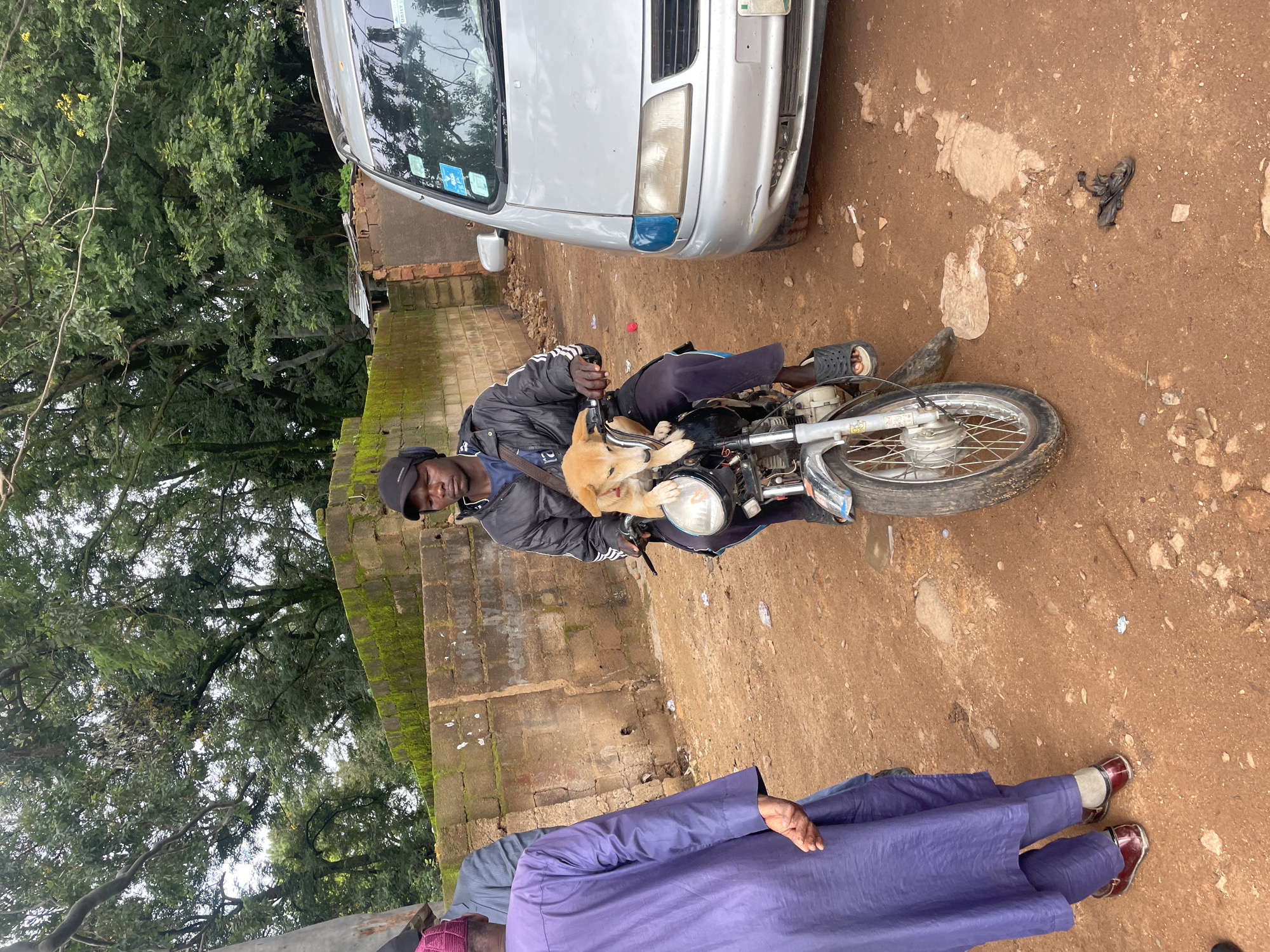 A person wearing a black baseball cap and jacket rides a motorcycle with a light brown puppy in their lap. The person is wearing dark pants and black sandals. The motorcycle has a white headlight and chrome spokes. To the right of the motorcycle, a silver car is parked. The ground is dirt and there is a brick wall behind the motorcycle with green moss growing on it. Trees with green leaves are visible in the background. To the left of the motorcycle, another person wearing a purple traditional robe is standing. The scene appears to be in an outdoor setting in the city of Jos, Nigeria.