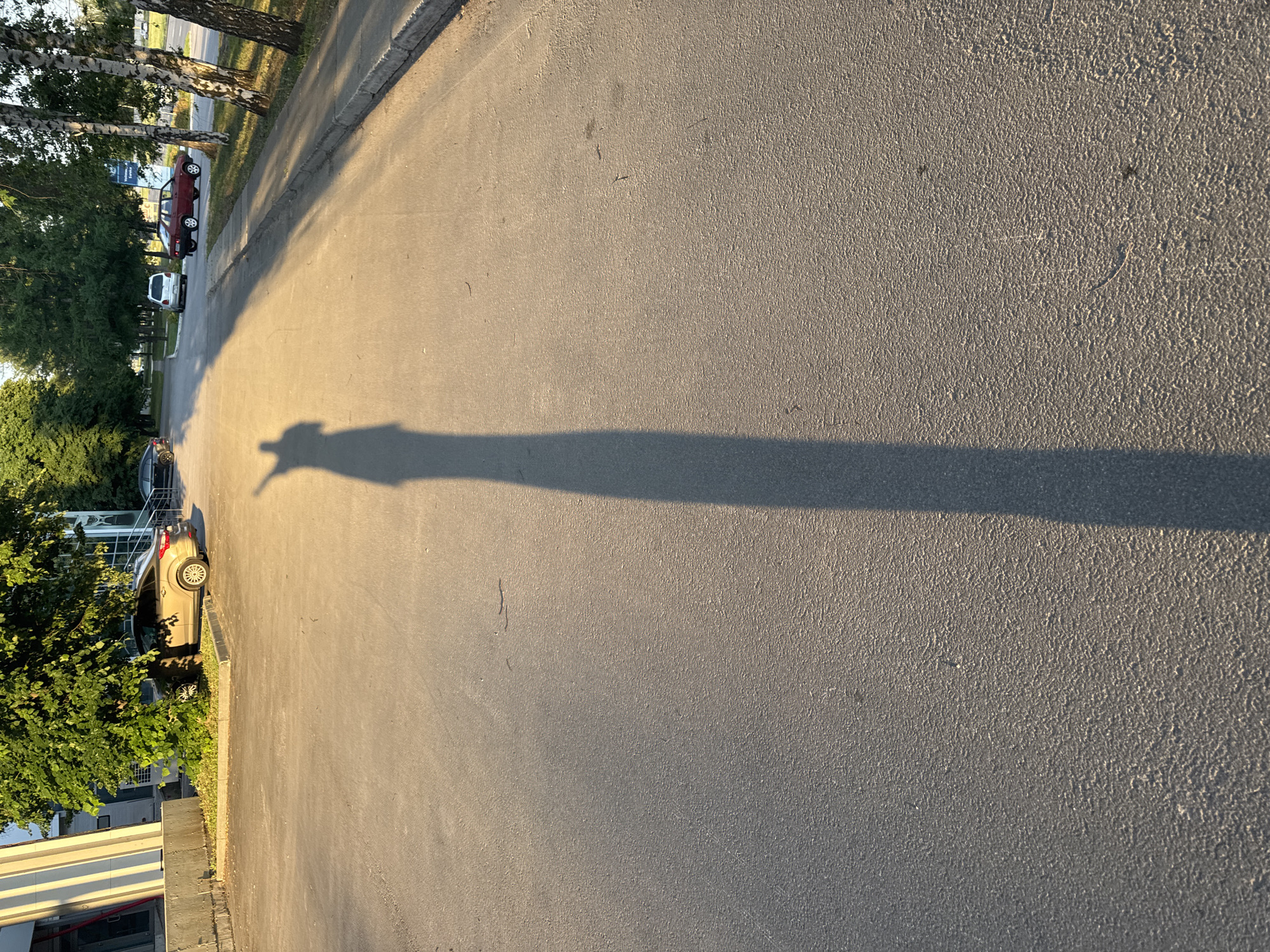 The image depicts a long, dark shadow of a person standing on a paved asphalt surface, possibly a road or a parking lot. The shadow is elongated and stretches into the distance, indicating that the sun is low in the sky, likely during sunrise or sunset. The person's shadow is captured with a raised arm, with a pointing finger, suggesting an action or a gesture. The environment appears to be an urban or suburban setting, with a building and a line of trees visible in the background. Several cars are parked in the vicinity, and a sidewalk runs alongside the road. The lighting suggests a warm, golden hour atmosphere.