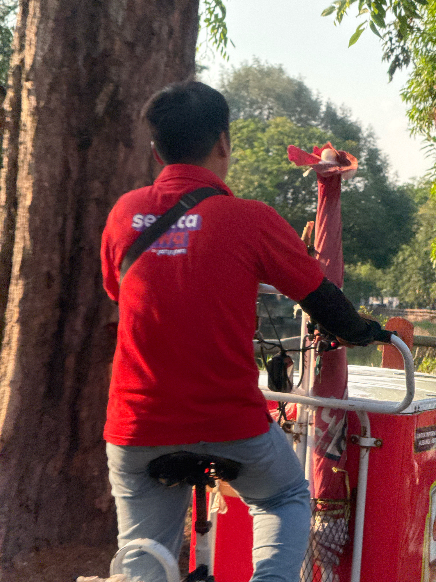 The image depicts a person from behind, wearing a red shirt with a black strap and light blue jeans, riding a bicycle. The person has dark hair and is wearing black arm sleeves. The bicycle is equipped with a red cooler box. The background shows a large tree trunk on the left and greenery with some buildings in the distance on the right. The scene appears to be outdoors, possibly in a park or along a street in Surabaya, Indonesia, given the presence of lush vegetation and the architectural style visible in the distance, which is consistent with areas in that region. The lighting suggests it is daytime, with the sun casting shadows.