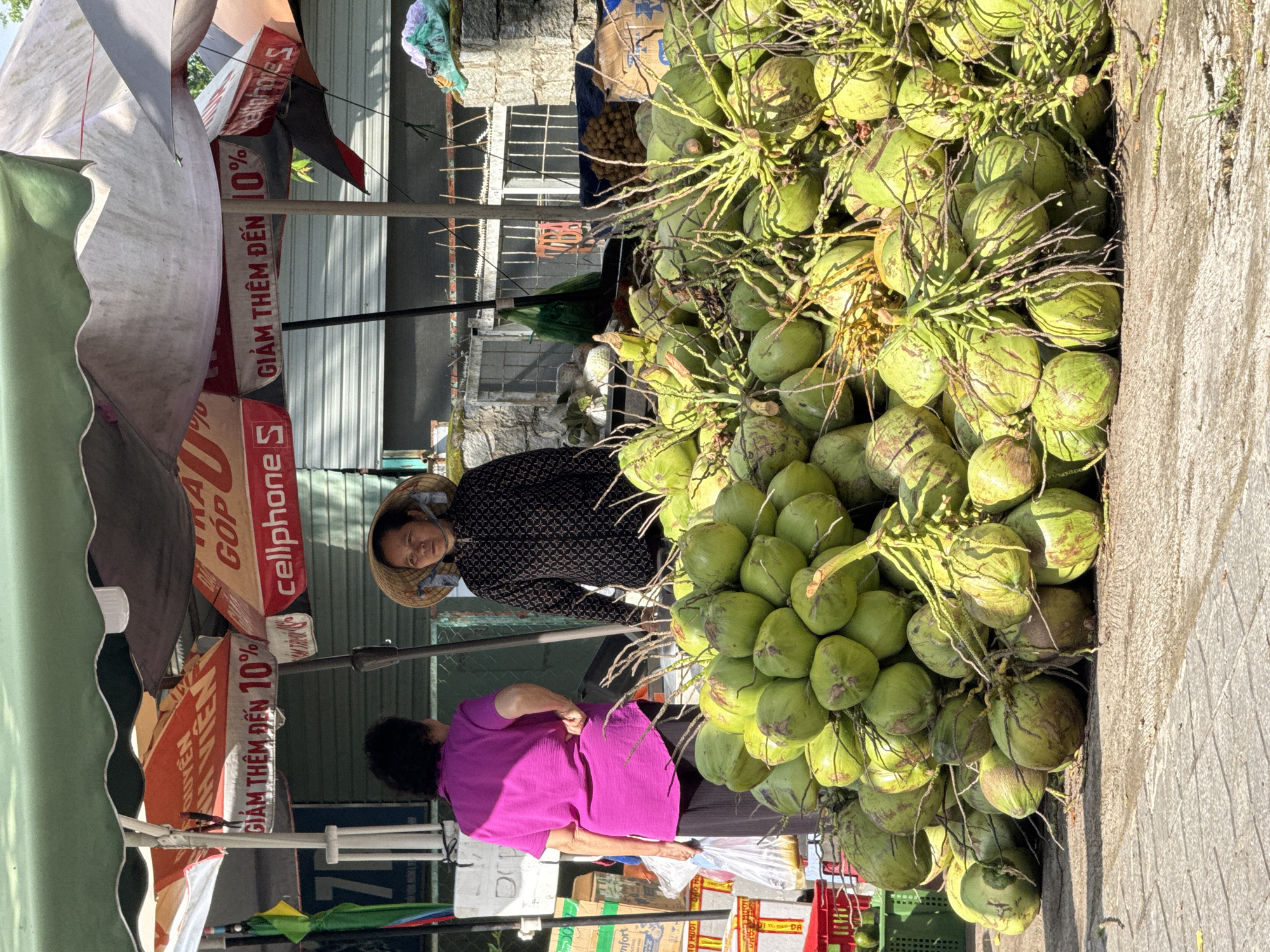 The image depicts a street market scene in Da Lat, Vietnam, focusing on a vendor selling coconuts. In the foreground, a large pile of green coconuts is displayed on the ground, some with their stems and leafy fronds still attached. The coconuts are varying shades of green and show signs of being freshly harvested.
Behind the coconuts, two women are visible. The woman on the left, wearing a vibrant fuchsia top and dark trousers, is facing away from the camera and appears to be interacting with someone off-frame. The woman on the right, wearing a traditional conical hat (nón lá) and a patterned dark jacket, stands near the coconuts, looking towards the right side of the frame.
The market stall is shaded by a green and white striped awning. Below the awning, several promotional banners are visible, one featuring text and a percentage sign, suggesting commercial activity. The background reveals a building with corrugated metal siding and barred windows, characteristic of a commercial or residential structure in the area. Some other items, possibly other produce or goods, are partially visible in the background, including a green crate and some boxed items. The ground is paved with concrete and stone slabs. The overall lighting suggests it is daytime, with sunlight casting shadows and highlighting the produce.