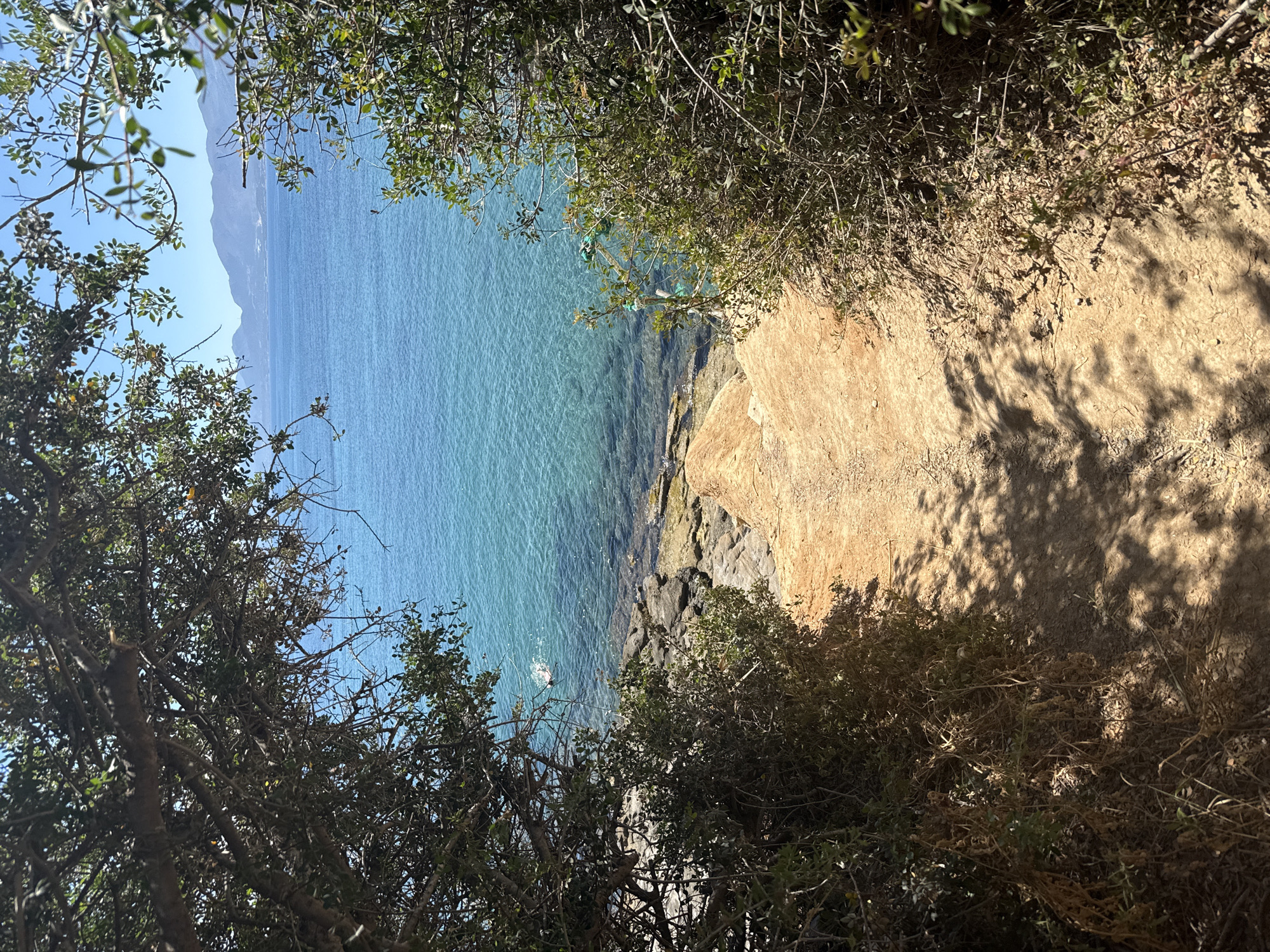 The image captures a sun-drenched coastal scene, likely in Chersonisos Municipal Unit, Greece. The dominant elements are the vibrant turquoise sea, a rocky cliff face, and lush green foliage framing the view. The water is exceptionally clear, revealing the seabed and rocks below, and gentle ripples suggest a calm day.
On the left side of the frame, a person is visible in the water, appearing to be swimming or floating. This is the sole human subject. The surrounding environment is natural and untamed, with thick, leafy branches from trees or shrubs obscuring parts of the sky and the cliff edge. The ground near the cliff is a sandy, earthy tone, marked by the dappled shadows of the overhead foliage, indicating it is daytime and sunny.
The perspective is from a slightly elevated viewpoint, looking down towards the sea and the cliff. The composition emphasizes the natural beauty of the coastline, with the deep blue of the sky and sea contrasting with the earthy tones of the land and the verdant green of the plants. The overall impression is one of tranquility and natural splendor, with the presence of the swimmer adding a subtle human element to the serene landscape. No text is visible in the image.
