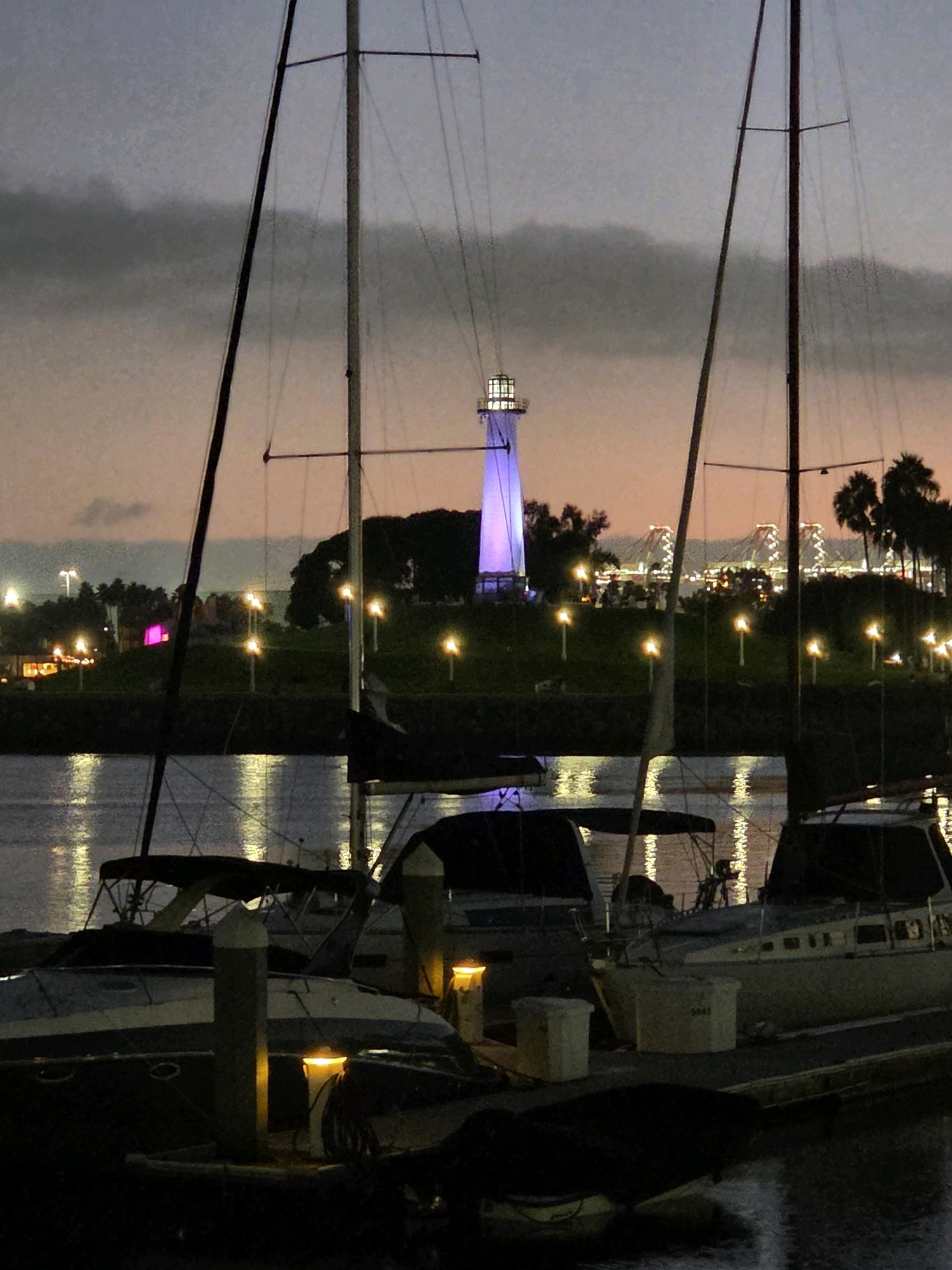 This is a night photograph of the Long Beach waterfront in Long Beach, California, USA. The scene features several sailboats docked in the foreground, with their masts extending upwards against a dusky sky. In the background, a white lighthouse, illuminated with a soft purple light, stands prominently. Behind the lighthouse, a cityscape with buildings and bridges lit up at night is visible, along with palm trees silhouetted against the sky. The water reflects the lights from the city and the boats, creating a shimmering effect. The overall atmosphere is serene and picturesque, capturing the beauty of the Long Beach harbor at twilight.