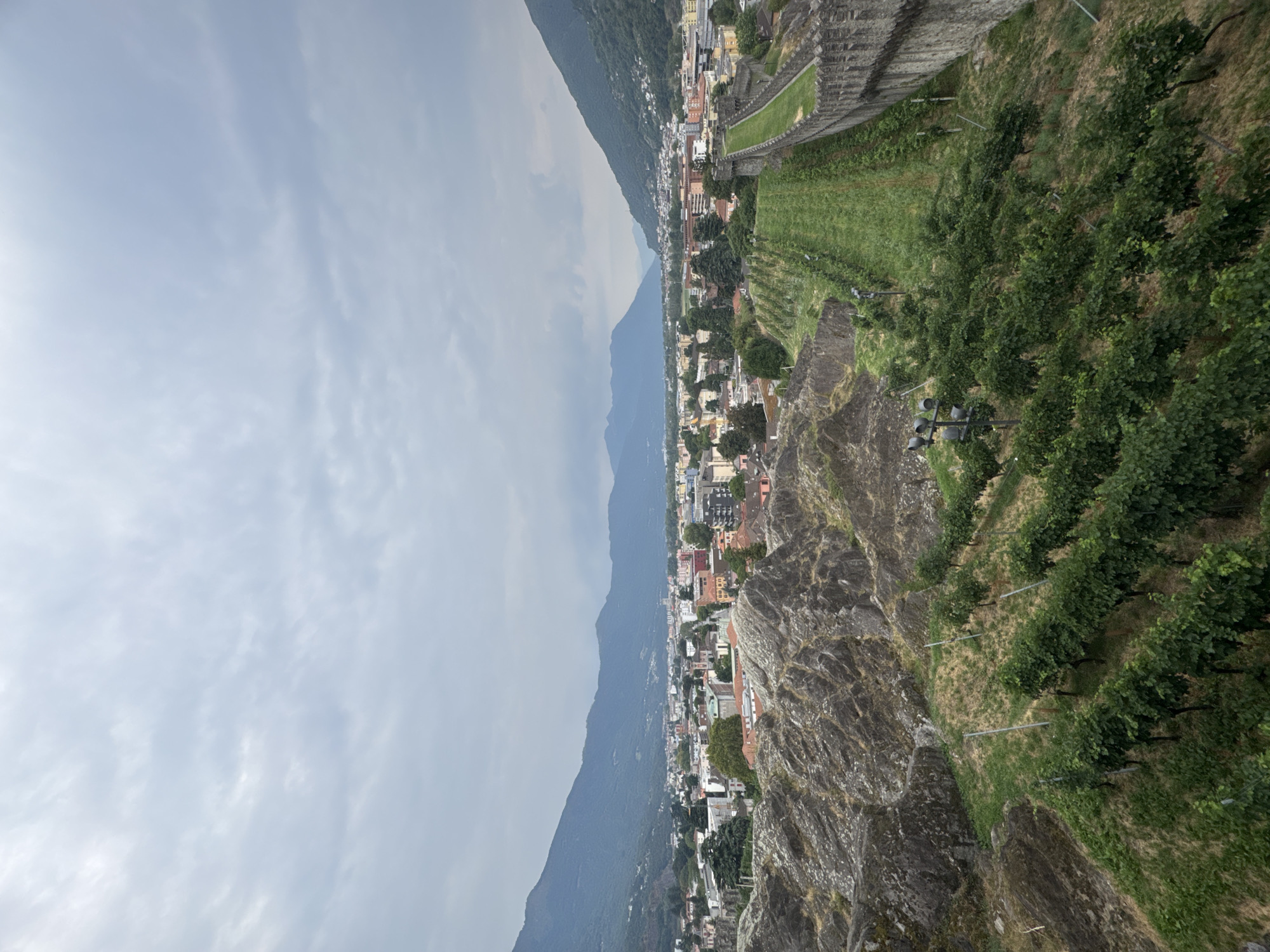The image is an elevated, wide shot of Bellinzona, Switzerland, capturing a view of the city and its surrounding mountainous landscape under a cloudy sky. In the foreground, a stone wall, likely part of a castle fortification, runs along the right side of the frame. Adjacent to the wall, a terraced vineyard with rows of green grapevines slopes downwards. To the left of the vineyard, rugged, rocky terrain is visible.
Beyond the foreground, the city of Bellinzona sprawls across the valley, characterized by a collection of buildings with red-tiled roofs and other urban structures. In the background, majestic green mountains rise, their peaks partially obscured by the overcast sky. The overall scene is tranquil and scenic, showcasing a blend of historical architecture, natural landscape, and agricultural elements. There are no people visible in the image.