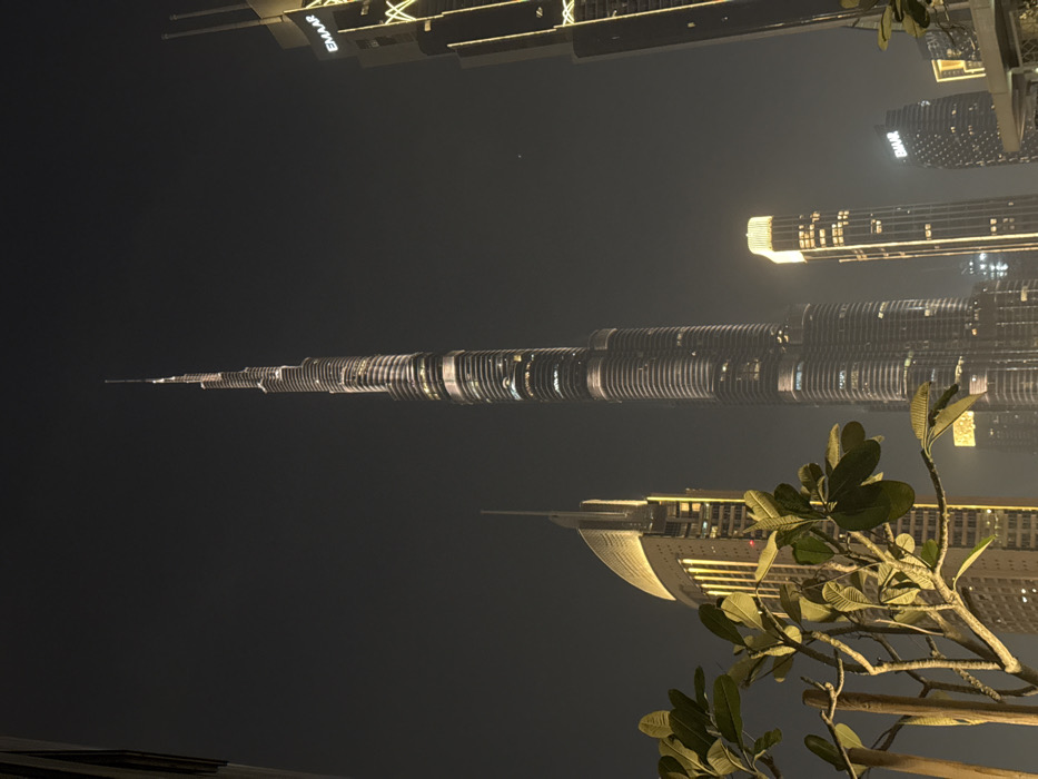 A night view presents Dubai's skyline, dominated by the Burj Khalifa, captured horizontally. Lit skyscrapers surround the iconic tower against a dark sky. The "Emaar" logo is visible on a building. A tree branch with leaves intrudes on the right side of the frame, adding foreground detail. The perspective is likely from a low angle, accentuating the height of the structures.