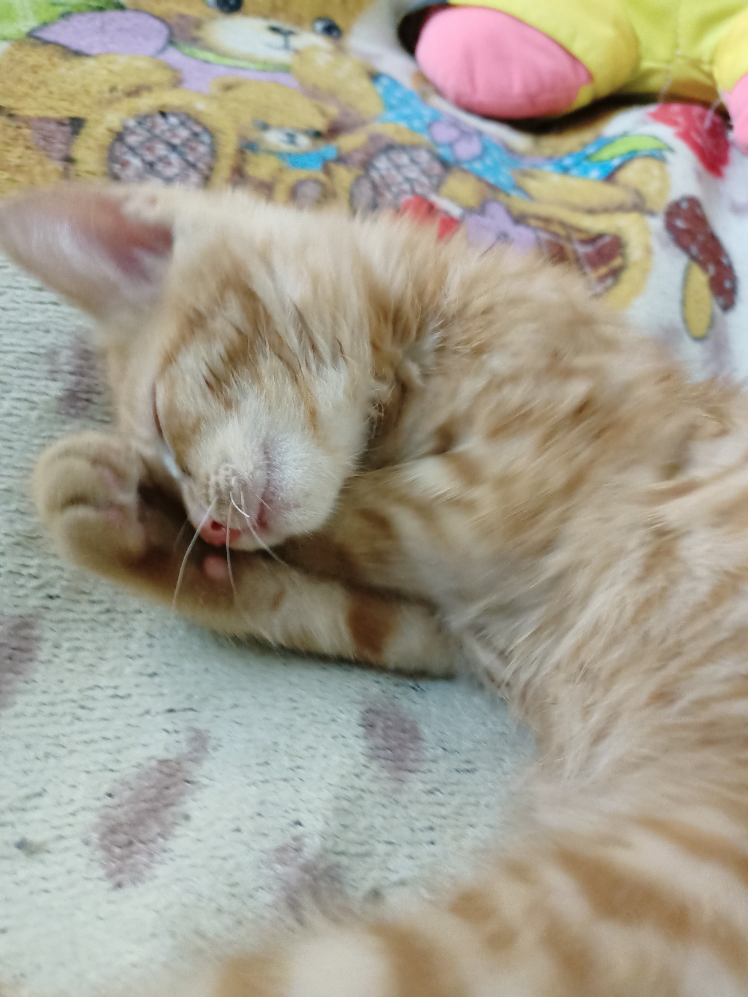 The image shows a close-up, low-angle shot of an orange tabby kitten sleeping on a textured, light-colored blanket with a pattern of darker, abstract shapes. The kitten is curled up, with its face partially obscured by its front paw, which is pressed against its nose and mouth. The kitten's fur is soft and has distinct darker orange stripes. The background is blurred but appears to be a colorful blanket with cartoonish teddy bear designs and possibly some plush toys. No specific location in Almaty, Kazakhstan is discernible from the image.