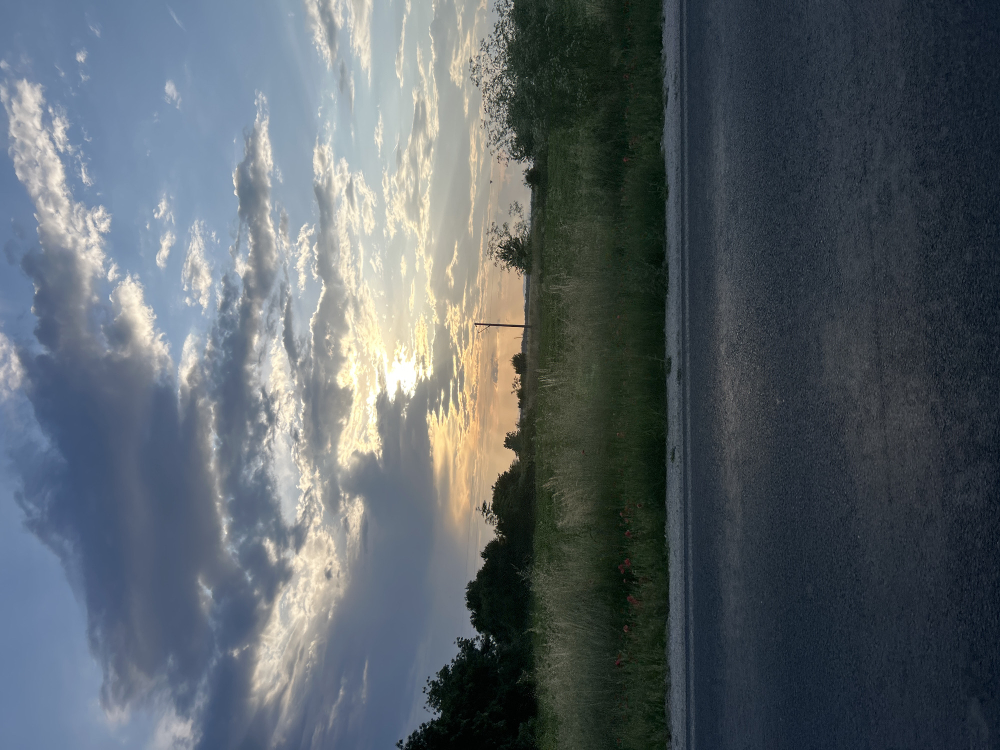 This image captures a tranquil rural landscape during what appears to be a sunset or sunrise, with the sun low on the horizon. The photograph is oriented vertically, showing a wide expanse of sky, a strip of land with vegetation, and a section of an asphalt road.
The upper portion of the frame is dominated by a dramatic sky filled with scattered clouds. Some clouds are dark and grey, indicating their density, while others are brightly illuminated from behind by the sun, showcasing golden, orange, and white hues. Sunrays pierce through the clouds, creating a striking visual effect near the horizon. The sky transitions from a lighter, almost golden-yellow near the sun to a pale blue and then a deeper blue and grey further away.
Below the sky, the horizon features a line of distant trees and dense green vegetation, with some taller grasses and bushes in the midground. A solitary utility pole stands against the bright sky, a thin, dark silhouette. In the grassy area bordering the road, small specks of red are visible, suggesting wildflowers, possibly poppies.
The right side of the image (if viewed correctly, after rotation) is occupied by a dark asphalt road, showing a clear lane marking or shoulder line where it meets the grassy verge. The road appears damp or reflects the ambient light, giving it a slightly textured, dark grey appearance.
The overall scene conveys a sense of peacefulness and natural beauty. There are no people or visible text. Based on the location context provided, this scene is from Graf Ignatievo, Bulgaria.