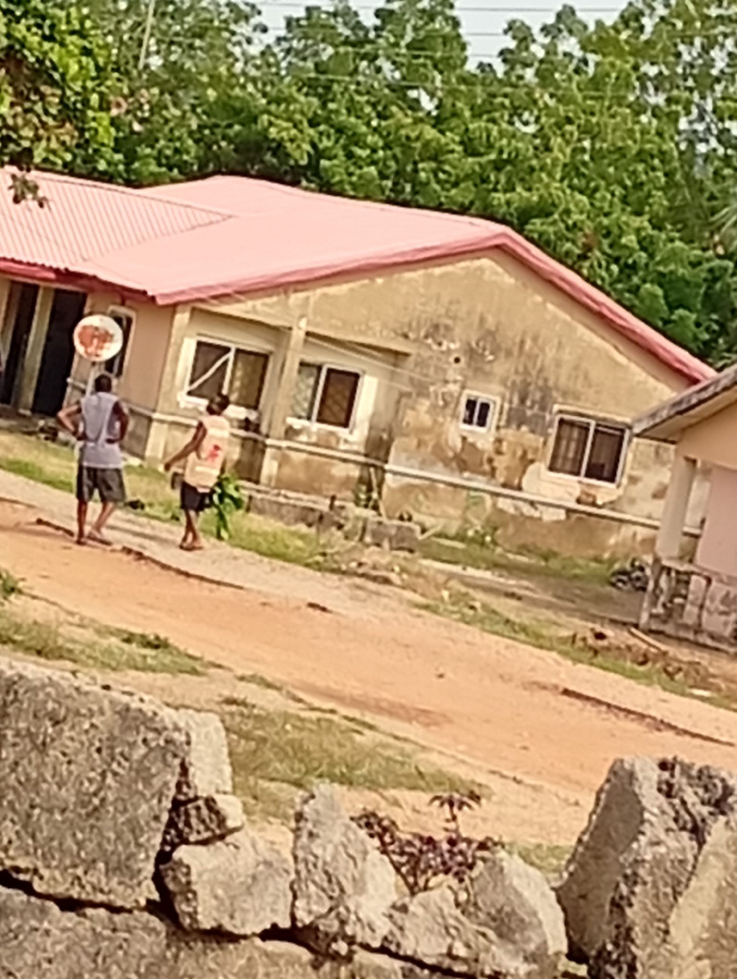 Two individuals are present on a dirt road in front of a weathered building with a pink metal roof. The building has multiple windows and appears to be in disrepair. The individual on the left wears a gray sleeveless shirt and dark shorts, with their left hand on their hip. The individual on the right wears a light-colored vest over dark clothing and is facing away from the camera. The environment includes green trees and vegetation in the background and foreground, along with several large rocks in the lower part of the image.