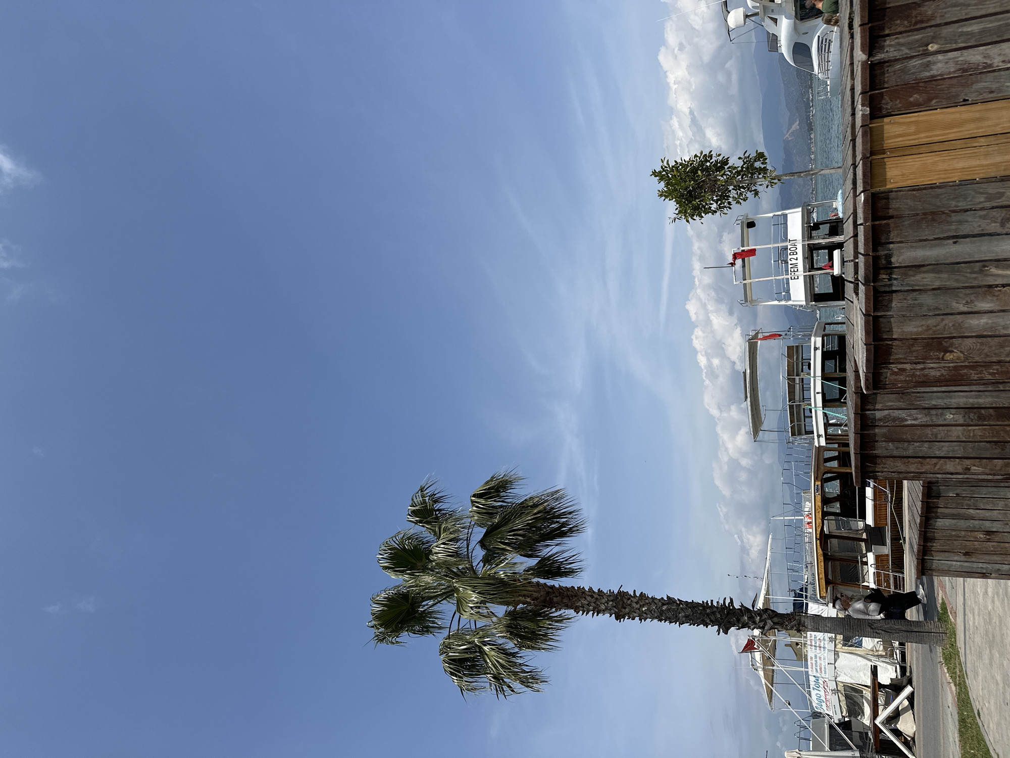 This daytime photograph captures a vibrant coastal scene in Fethiye, Turkey, featuring a marina or harbor under a clear blue sky.
In the foreground, a tall palm tree with a textured trunk and full, wind-swept fronds stands prominently on the left side. To its right, a person wearing a white hat is partially visible near a boat. A sturdy wooden boardwalk or dock runs along the right edge of the frame, beside which several boats are moored.
In the mid-ground, multiple boats are visible on the calm, blue water. One white passenger boat clearly displays "EFEM 2 BOAT" in dark lettering on its side, and another boat behind it shows partially visible text, possibly "BOGO TOUR". Further back, a larger, more modern yacht is docked. A small, leafy green tree also stands between some of the boats.
The background reveals the expansive, serene waters of the bay leading to distant, undulating mountains under a soft haze. The sky, dominating the upper portion of the image, is a bright, clear blue with scattered, wispy white clouds, indicating fair and sunny weather. The scene exudes a peaceful, summery atmosphere typical of a Mediterranean coastal town.