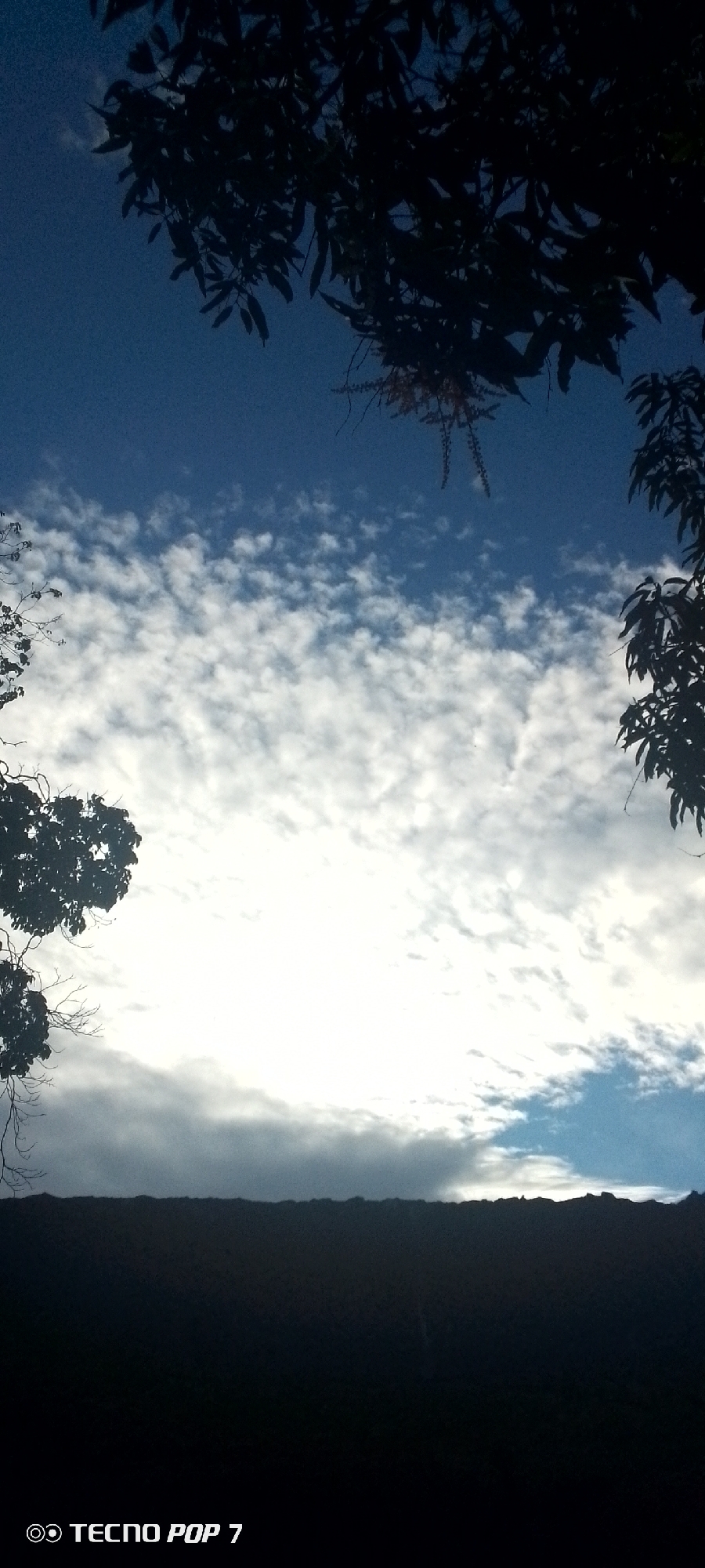 The image shows a dark silhouette of a landscape against a bright sky. The foreground is dominated by a dark, textured area, possibly a wall or a ridge of land, that stretches horizontally across the bottom of the frame. Above this, the sky is a gradient of deep blue at the top, transitioning to white and light grey clouds towards the middle and bottom. Scattered white clouds are visible in the blue portion of the sky, appearing as small, wispy formations. Silhouetted against the sky, in the upper part of the image, are the dark branches and leaves of trees, framing the sky from the top left and top right. The bottom left corner of the image contains a logo that reads "TECNO POP 7". The scene is likely an outdoor view, possibly from Altagracia, Venezuela, given the information provided.