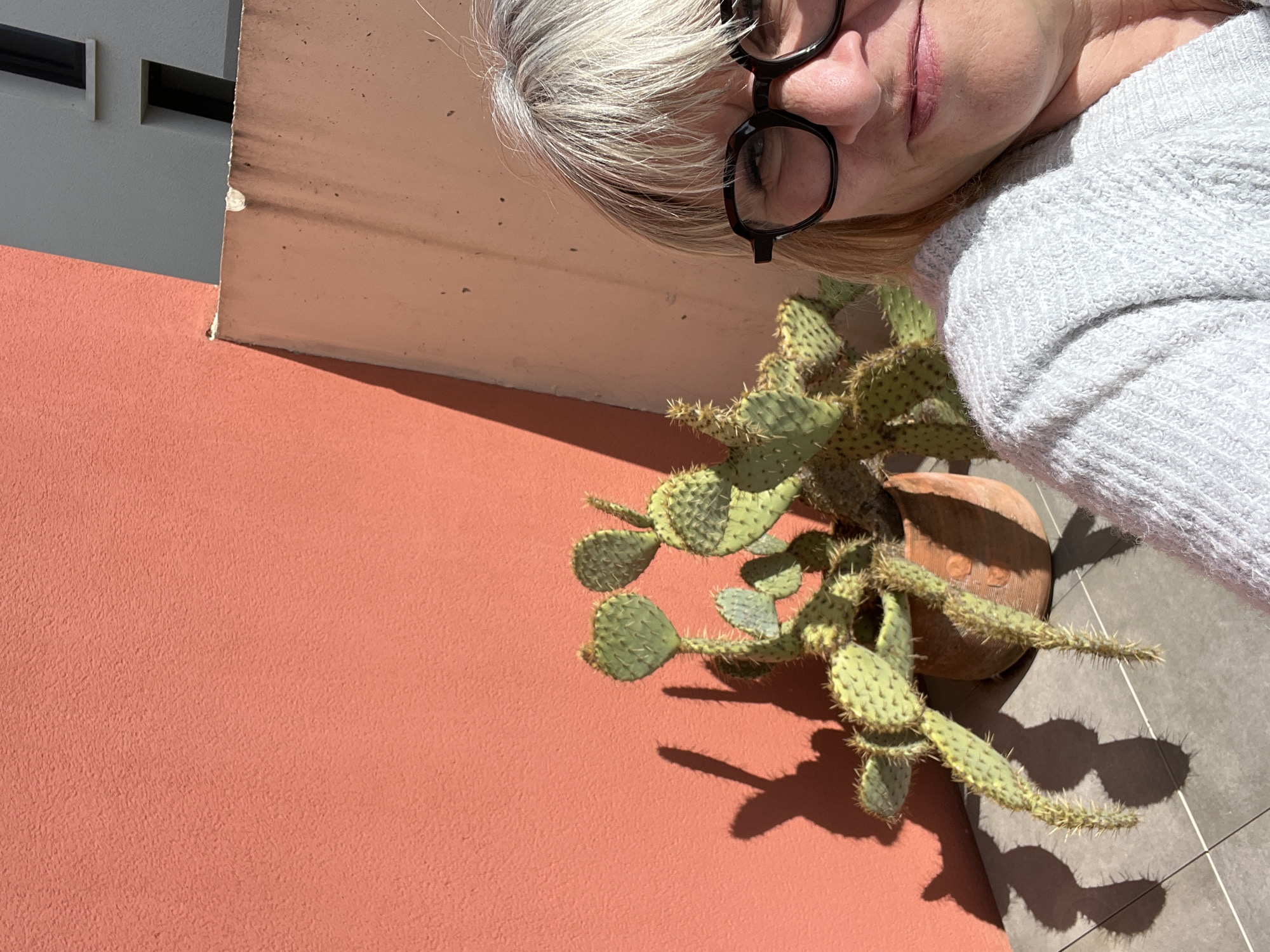 A high-angle shot shows a woman with short, gray-white hair and dark-rimmed glasses, partially visible in the upper right of the frame. She wears a light gray knitted sweater. Below her is a potted cactus. The cactus is green with flat, rounded pads covered in small spines. The pot is terracotta-colored and sits on a gray tiled surface. The cactus casts shadows on the tile. To the left of the cactus is a pinkish-orange wall. In the upper left corner, a section of a white building with a dark window is visible. The location is likely Chambœuf, France, based on the assumption that a request for information about an image implies the image was taken there.