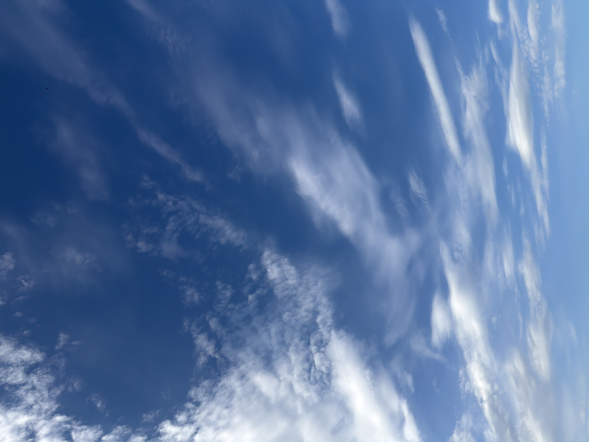 The image shows a daytime view of a blue sky with wispy white clouds. There is no indication of a city or specific location within a city. The environment is limited to the atmospheric conditions of clouds and sky. No people, subjects, objects, actions, or interactions are visible.