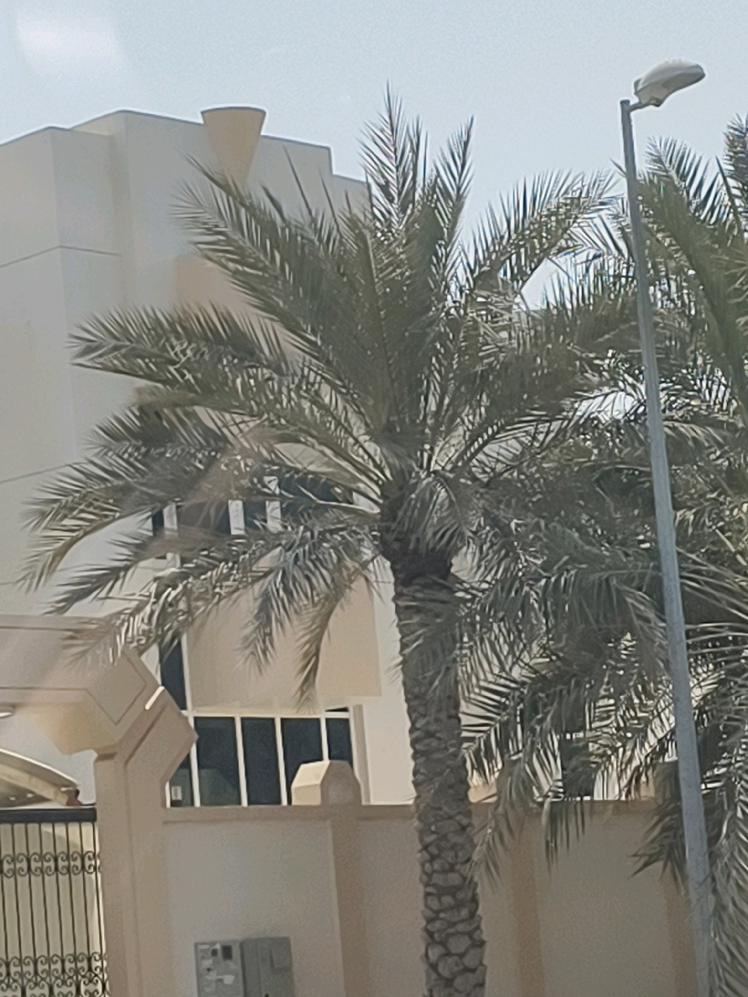 The image depicts a street scene in Dubai, United Arab Emirates, focusing on a modern residential building with distinct architectural features, including a stepped roofline and large, dark-paned windows. The building is light beige in color. In the foreground, several palm trees with lush fronds are prominent, with one particularly large palm tree centrally located. A grey lamppost with a white light fixture stands to the right of the palm trees. A black wrought-iron fence with a decorative pattern is visible at the bottom left of the image, behind which a beige wall runs horizontally. The sky is overcast and light in color. The overall impression is one of a sunny, warm climate, typical of Dubai.