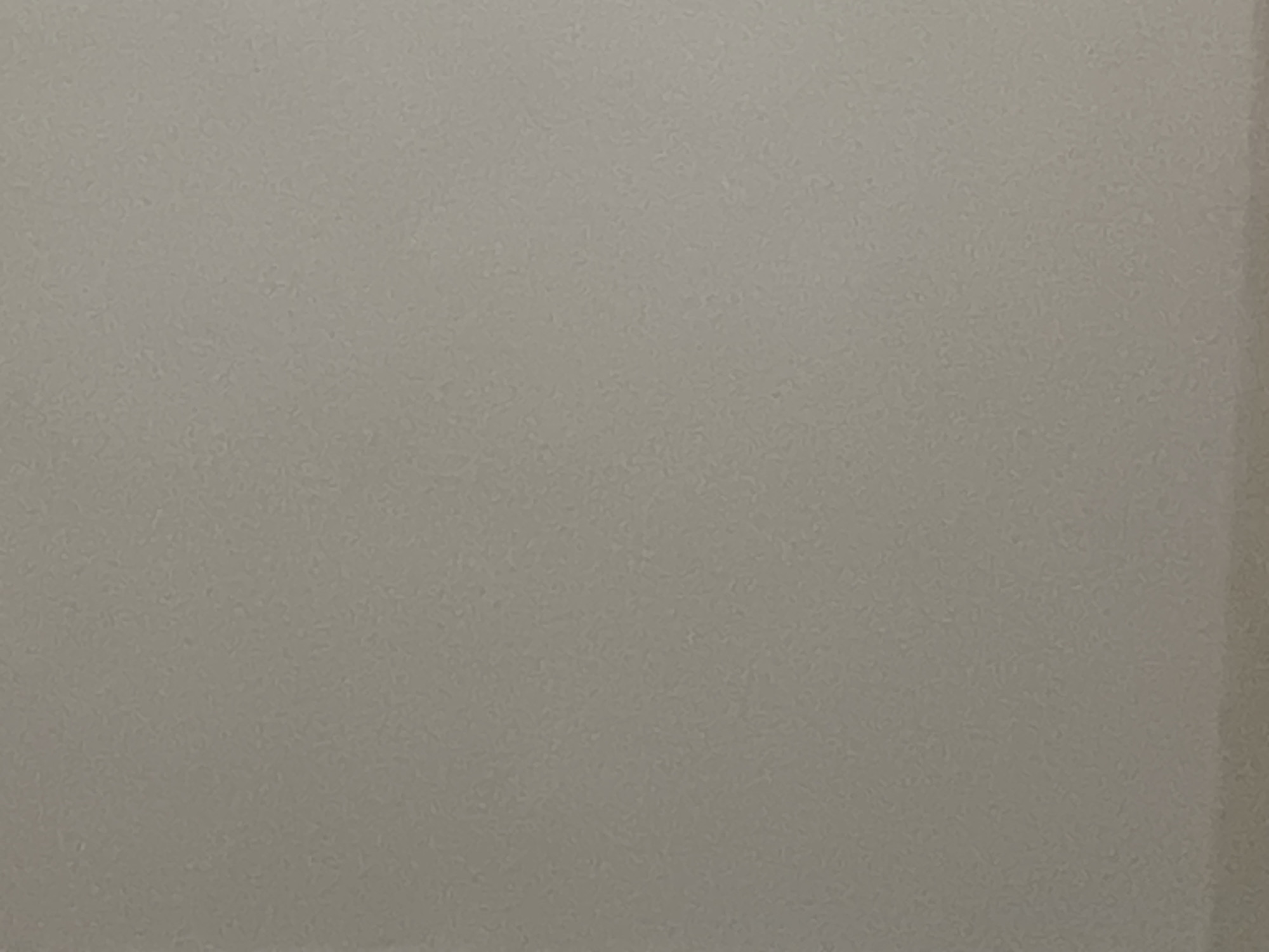 The image displays a uniform, light greige surface with a fine, granular texture. No discernible subjects, objects, people, actions, interactions, or environmental context are present within the frame. The surface exhibits consistent coloration and texture across its entirety.