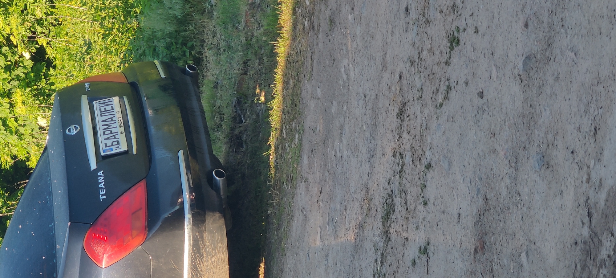 The image shows the rear of a dark-colored Nissan Teana sedan, appearing to be parked on the edge of an unpaved road or dirt path. The car is positioned on the left side of the frame, with lush green foliage and what appears to be a grassy verge behind it and to its left. The right side of the image is dominated by the textured, greyish surface of the dirt road.
The car's rear is visible, featuring its left taillight and two circular exhaust tips on the lower bumper. The "TEANA" model name is clearly visible on the trunk lid, below the Nissan logo. Above the Nissan logo is a custom license plate that prominently displays the Cyrillic word "БАРМАЛЕЙ" (Barmaley). A smaller "NISSAN" text and what looks like the number "14" (possibly a region code) are also visible on the license plate frame. Further up on the trunk lid, near the top edge, a small "200" emblem can be seen, likely indicating the engine size.
The scene is illuminated by bright sunlight, casting visible shadows and highlighting the grass along the edge of the road. The time of day appears to be daytime, possibly morning or late afternoon, given the angle of the light. No people are visible, and the car appears stationary. The setting suggests an outdoor, possibly rural or semi-rural, environment in Bezpalivka, Ukraine.