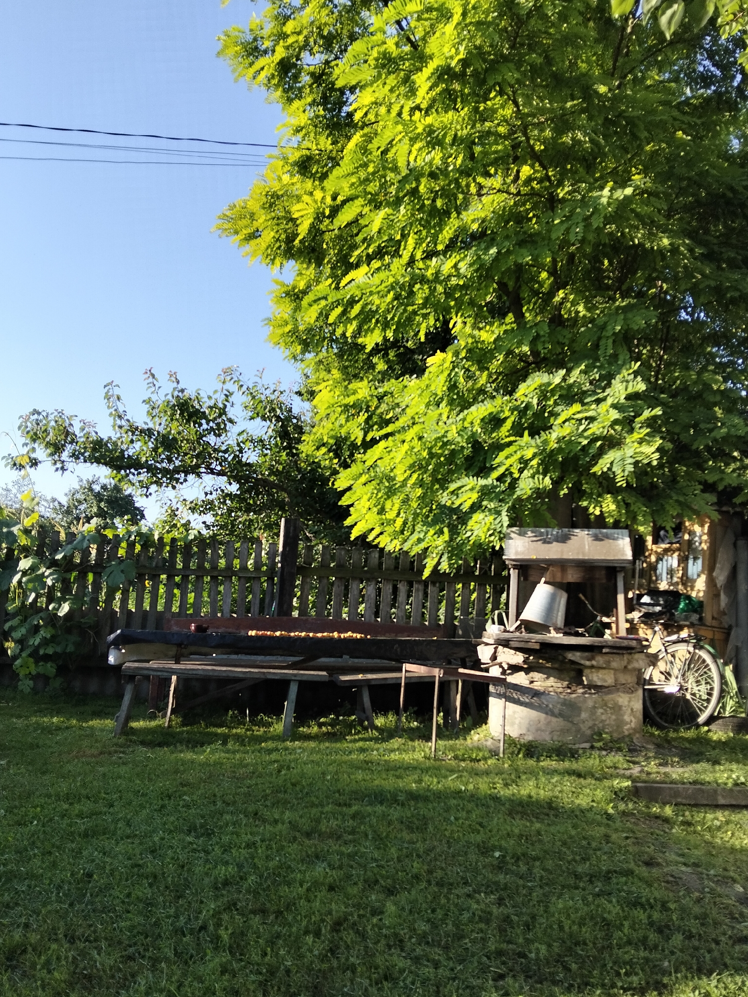 The image depicts a sunlit backyard scene in Kliushnykivka, Ukraine, likely during the daytime. A tall, leafy tree dominates the right side of the frame, casting dappled shadows on the well-maintained green lawn. In the background, a rustic wooden fence runs horizontally across the image, separating the yard from an area with more vegetation and what appears to be a small building or shed.
To the left of the tree, a makeshift bench or table with a dark tarp is set up, covered with an assortment of small, light-colored items that resemble fruits or vegetables, possibly laid out to dry or for harvest. The bench itself is supported by simple wooden legs. Adjacent to the tree and slightly behind the bench is a well, constructed from concrete blocks and topped with a wooden structure. A metal bucket is visible near the well, and a bicycle with a light-colored frame is parked beside it. The ground around the well is covered in stones and wood.
The sky above is clear and blue, indicating fair weather. Power lines are faintly visible stretching across the top of the frame against the sky. The overall impression is one of a rural or semi-rural setting, possibly a garden or yard associated with a home. There are no people visible in the image.