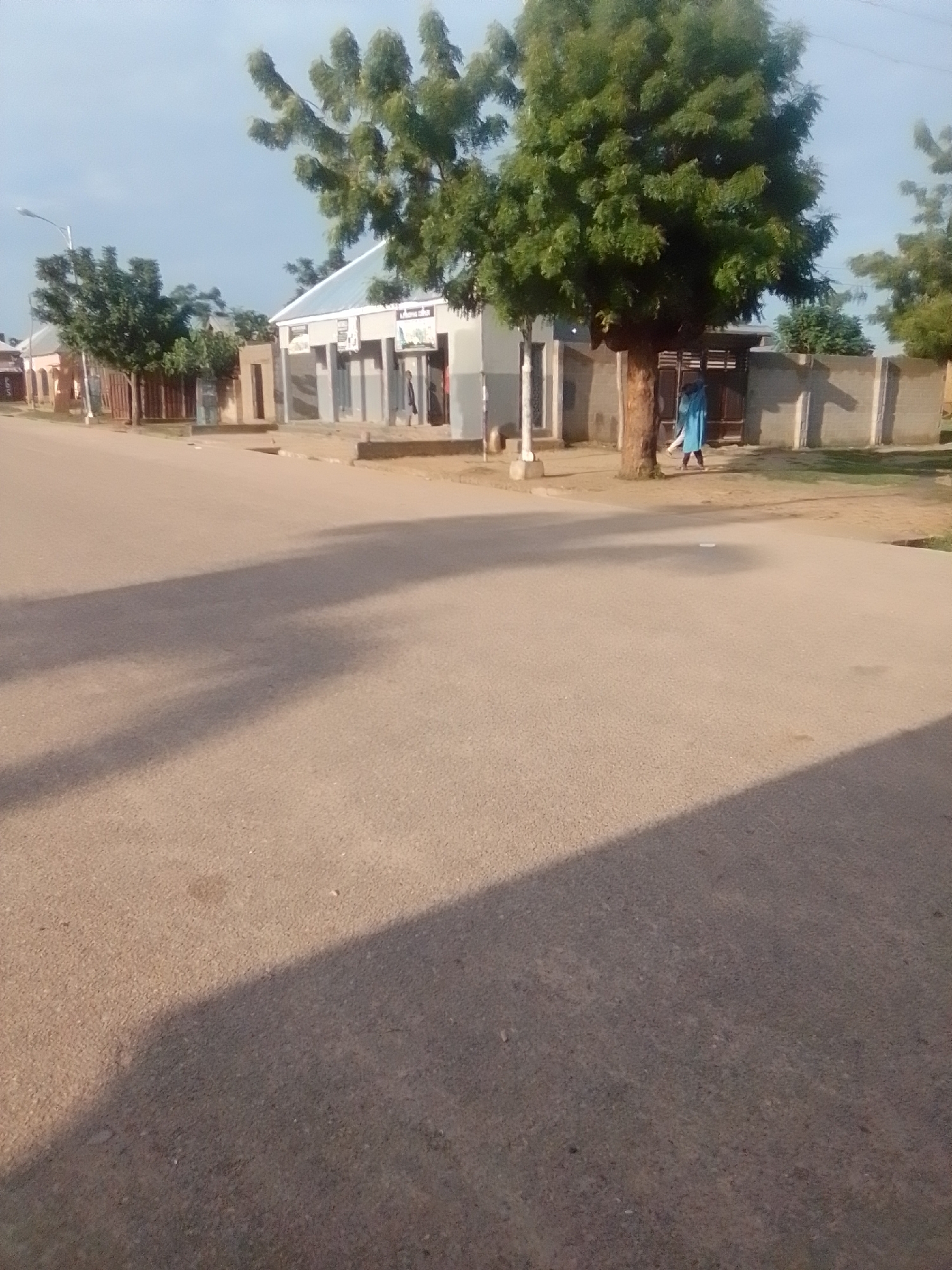 The image depicts a street scene in Liji Hill, Nigeria. A paved road occupies the foreground, with shadows of trees cast across its surface. In the background, a building with a light-colored facade and a metal roof is visible, featuring several glass-fronted sections or windows. To the right of this building, a tall tree with dense green foliage stands beside a concrete fence. A person wearing a blue garment is positioned near the base of this tree, facing away from the camera, appearing to be near an entrance in the fence. Further to the left, other buildings and trees line the street, suggesting a commercial or residential area within the town. The sky above is a clear light blue.