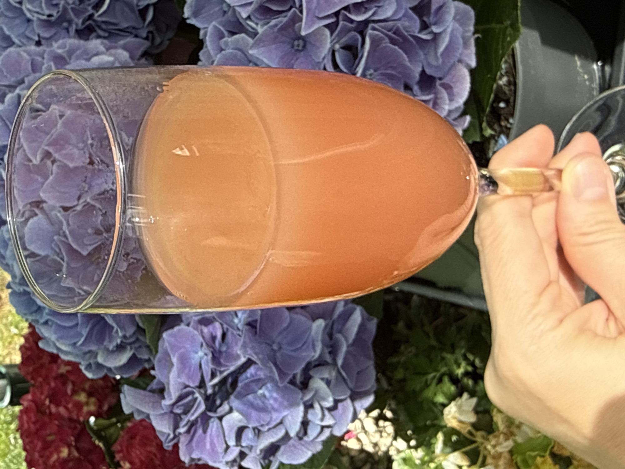 A person's hand holds a champagne flute filled with an orange-colored beverage. The flute is positioned in the foreground against a blurred background of purple and red hydrangeas. The scene appears to be outdoors. No specific location in Bad Sachsa, Germany is discernible from the image.