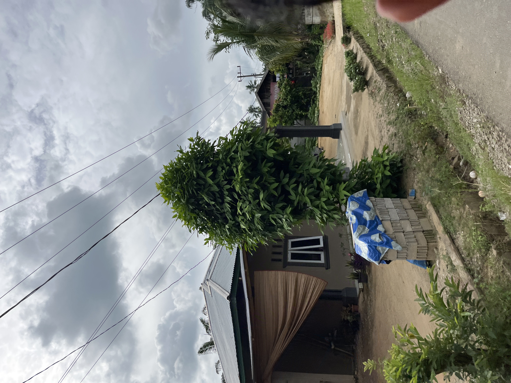 The image depicts an overcast day in a rural or semi-rural area, likely in Sukamulia, Indonesia. In the foreground, a stack of gray concrete blocks is covered with a blue and white tarp. To the left, lush green foliage dominates the frame, with a tall, dense tree in the middle ground. A light-colored house with a corrugated metal roof and dark trim is visible on the left side of the image, partially obscured by a beige woven material draped over its entrance. The house has two white-framed windows. The ground appears to be sandy dirt, with a small, overgrown ditch running alongside a paved or unpaved road on the right. In the background, more vegetation, including palm trees, and a building with a red sign can be seen. Electrical wires crisscross the sky. No people are clearly visible. The scene suggests a residential area undergoing construction or renovation, with a sense of a tropical climate suggested by the foliage and cloudy sky.