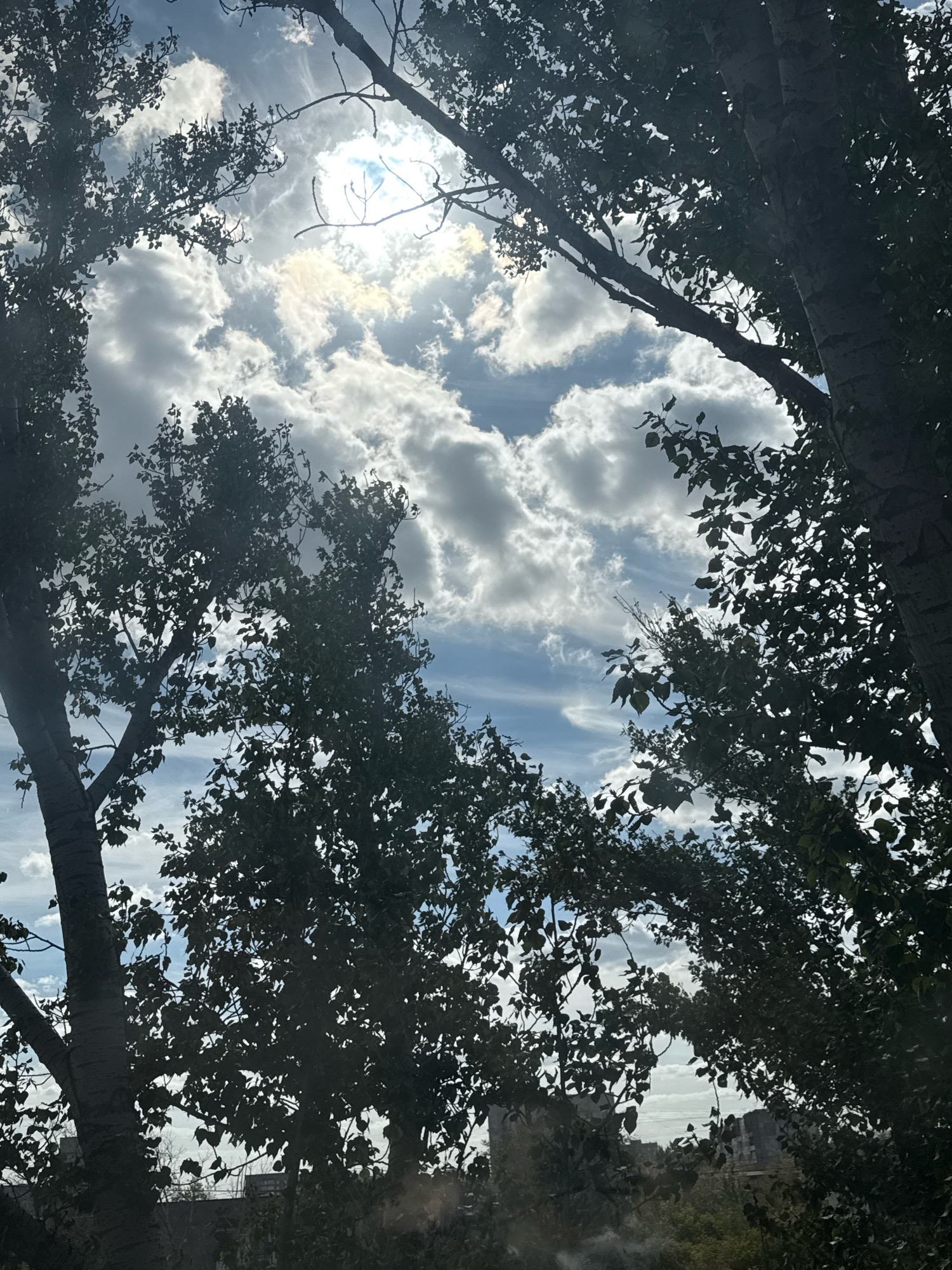 The image depicts a view looking upwards through the canopy of trees towards a bright, partly cloudy sky. The sun is visible, partially obscured by clouds, casting a strong light that creates silhouetted foliage. The trees appear to be mature with thick trunks and dense leaf cover. In the distance, through the gaps in the leaves, hints of buildings can be seen, suggesting an urban or semi-urban environment. This perspective suggests the photograph was taken from a low vantage point, possibly at ground level, looking up into the sky framed by the trees. The overall impression is one of nature's elements interacting with the urban landscape. While the image does not explicitly show the city of Pavlodar, Kazakhstan, the description provided about the location of Pavlodar is not applicable to this image.