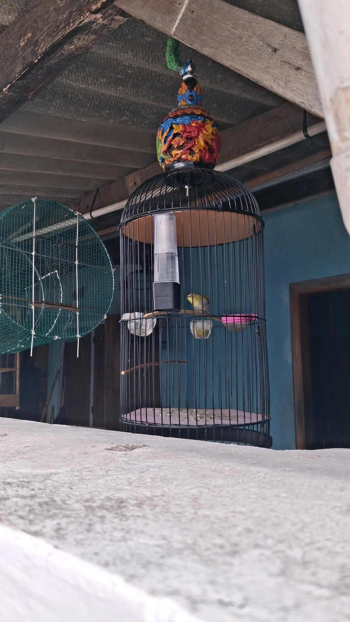 A small, yellow and gray bird is perched on a wooden dowel inside a black, round birdcage. The birdcage is suspended from a wooden ceiling and decorated with a colorful, carved ornament on top. Another green mesh cage is visible to the left. The background shows a blue wall and a wooden door. The scene appears to be outdoors, possibly in a backyard or courtyard in Yogyakarta, Indonesia, given the architectural style and the presence of traditional birdcages. The foreground is a concrete ledge.
